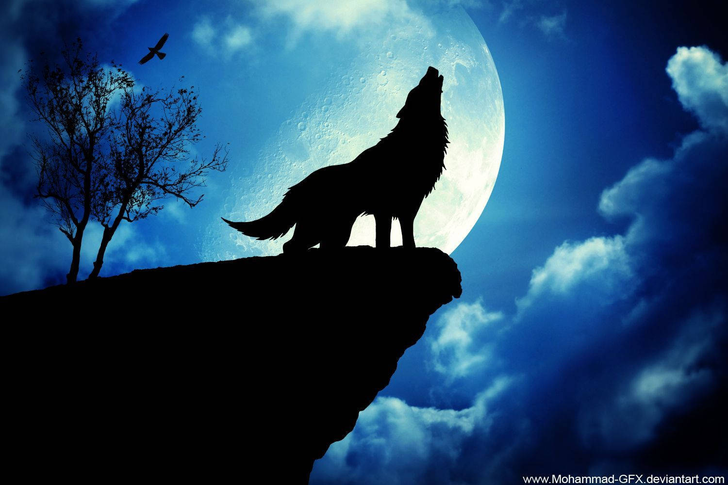 wolf, moon, stormy blue night sky, HD Desktop Wallpaper