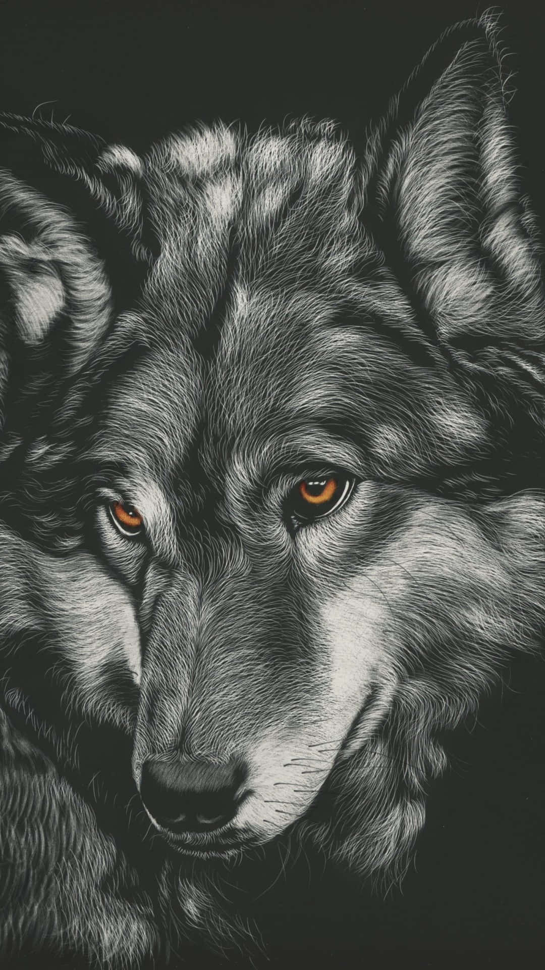 wolf, glowing amber eyes, dark charcoal background, Full HD Phone Wallpaper