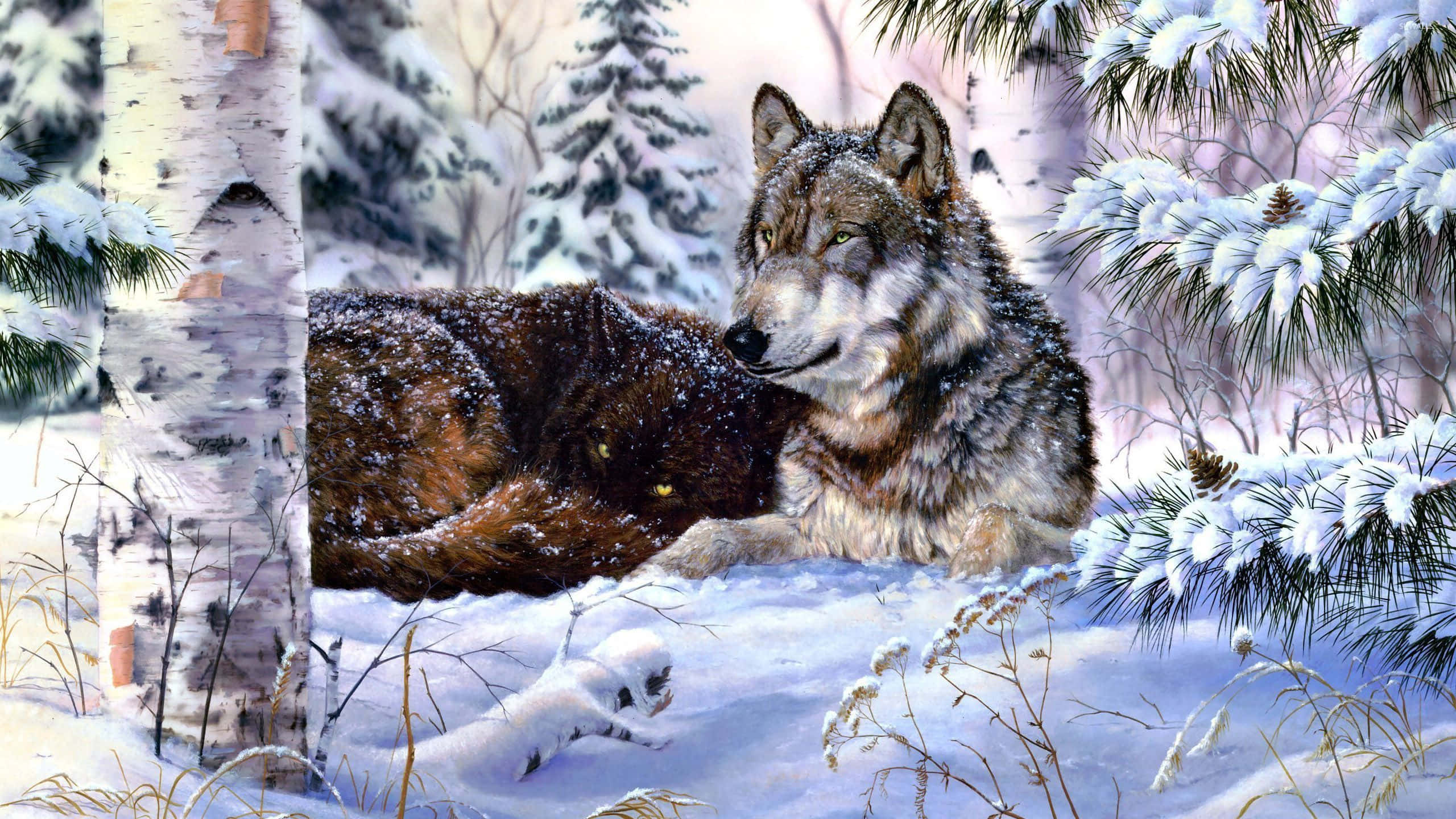 wolf, snowy wilderness, birch trees, 2K Desktop Wallpaper