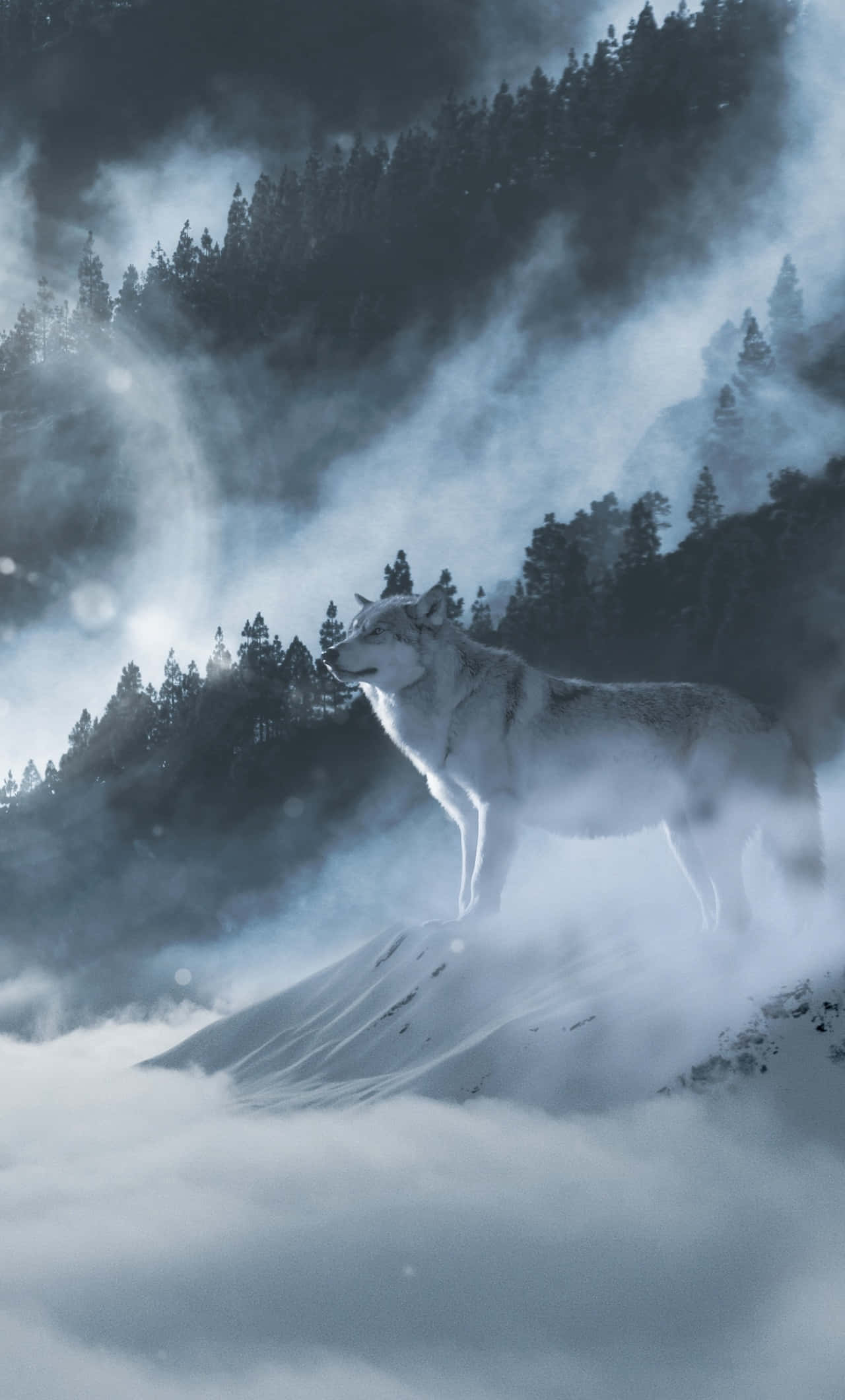 Wolf In Snow, white wolf, snowy peak, Full HD Phone Wallpaper