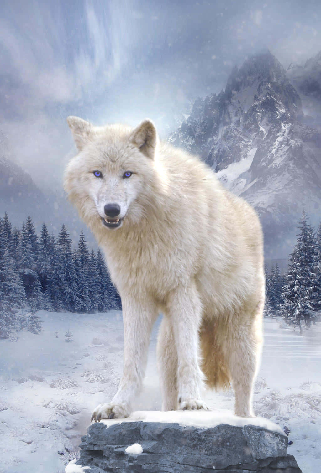 wolf in snow, white wolf, piercing blue eyes, HD Phone Wallpaper