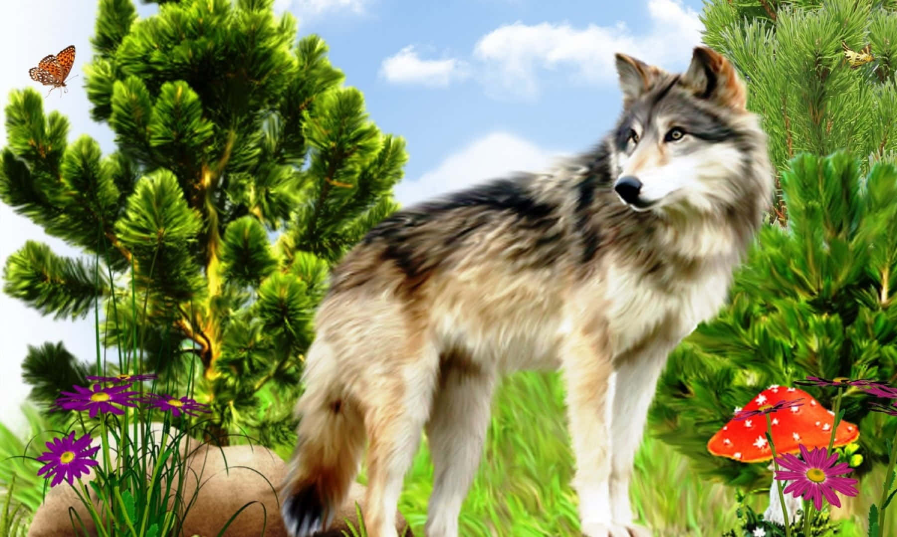 wolf in spring, gray wolf, vibrant forest clearing, HD Desktop Wallpaper