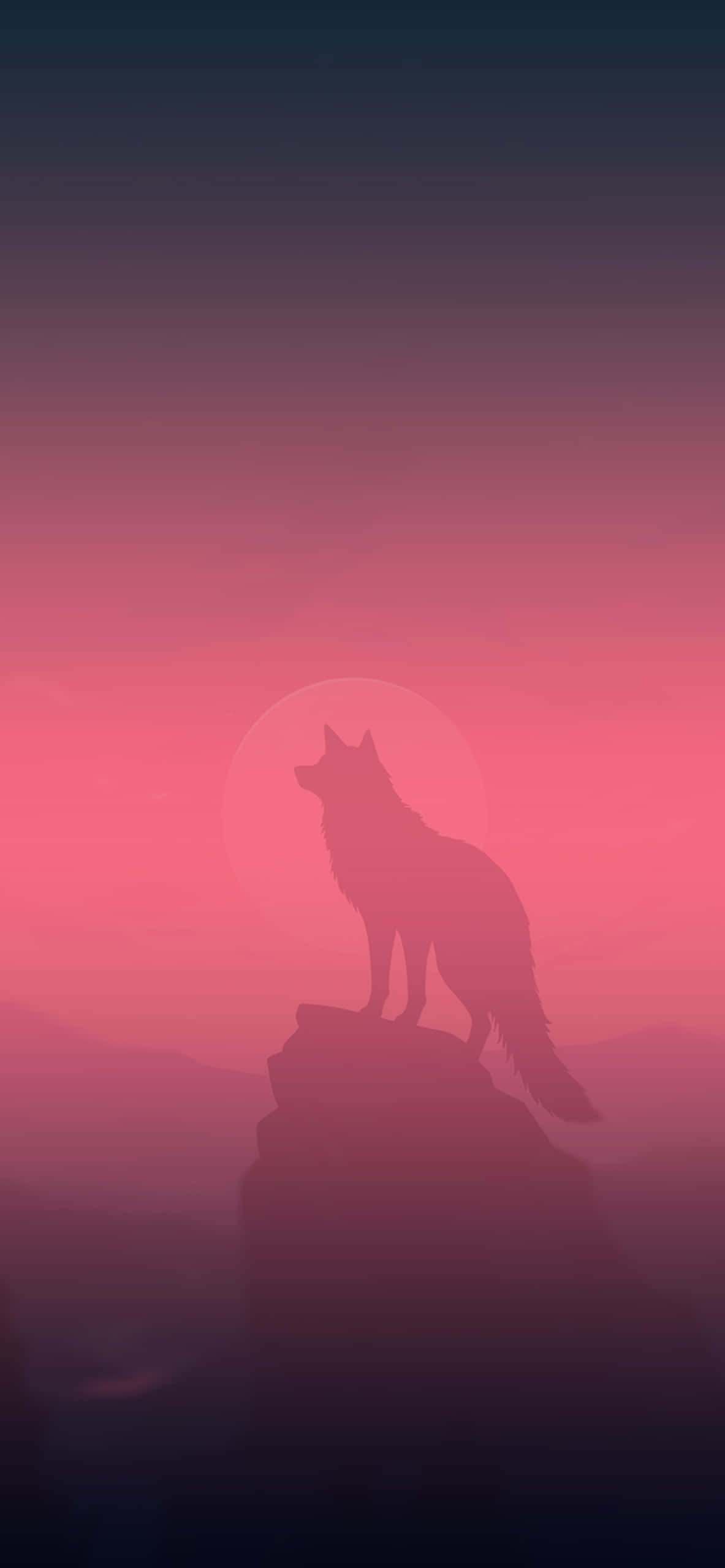 wolf, sunset, cliff, 2K Phone Wallpaper