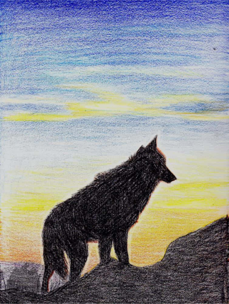 Wolf In Sunset, black wolf, rocky outcrop, SD Phone Wallpaper