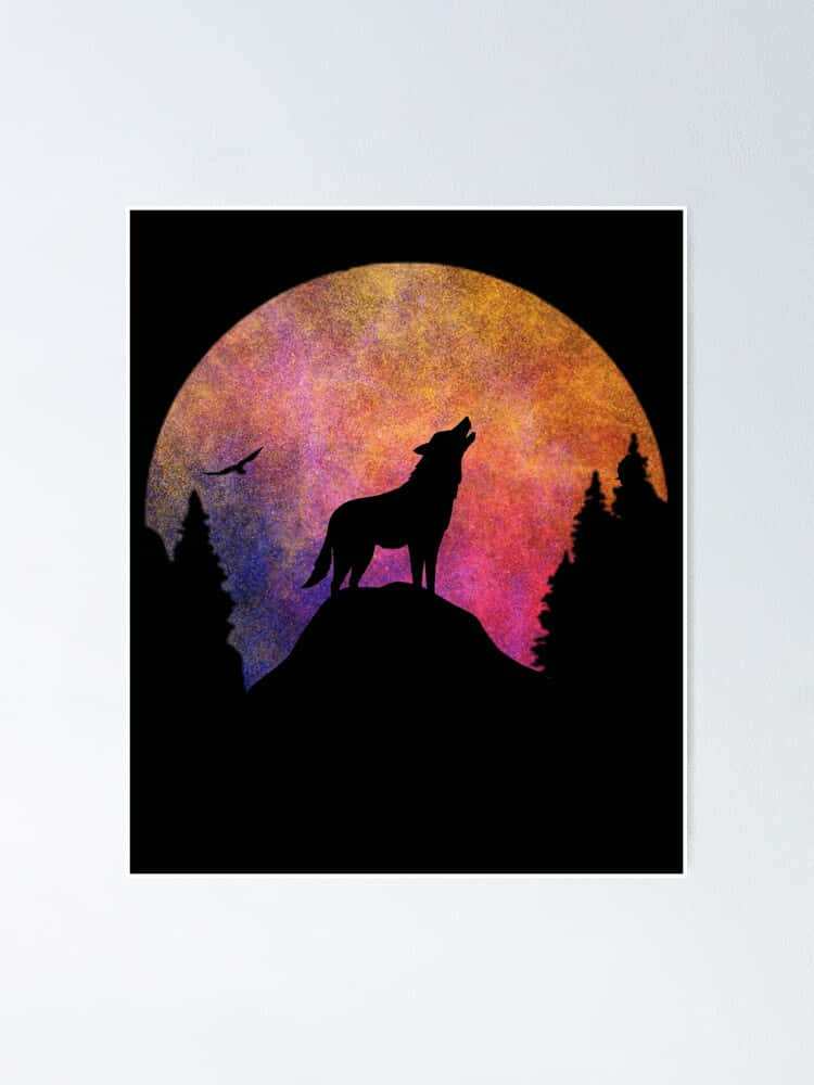 Wolf In Sunset, golden sunset, silhouette, SD Phone Wallpaper