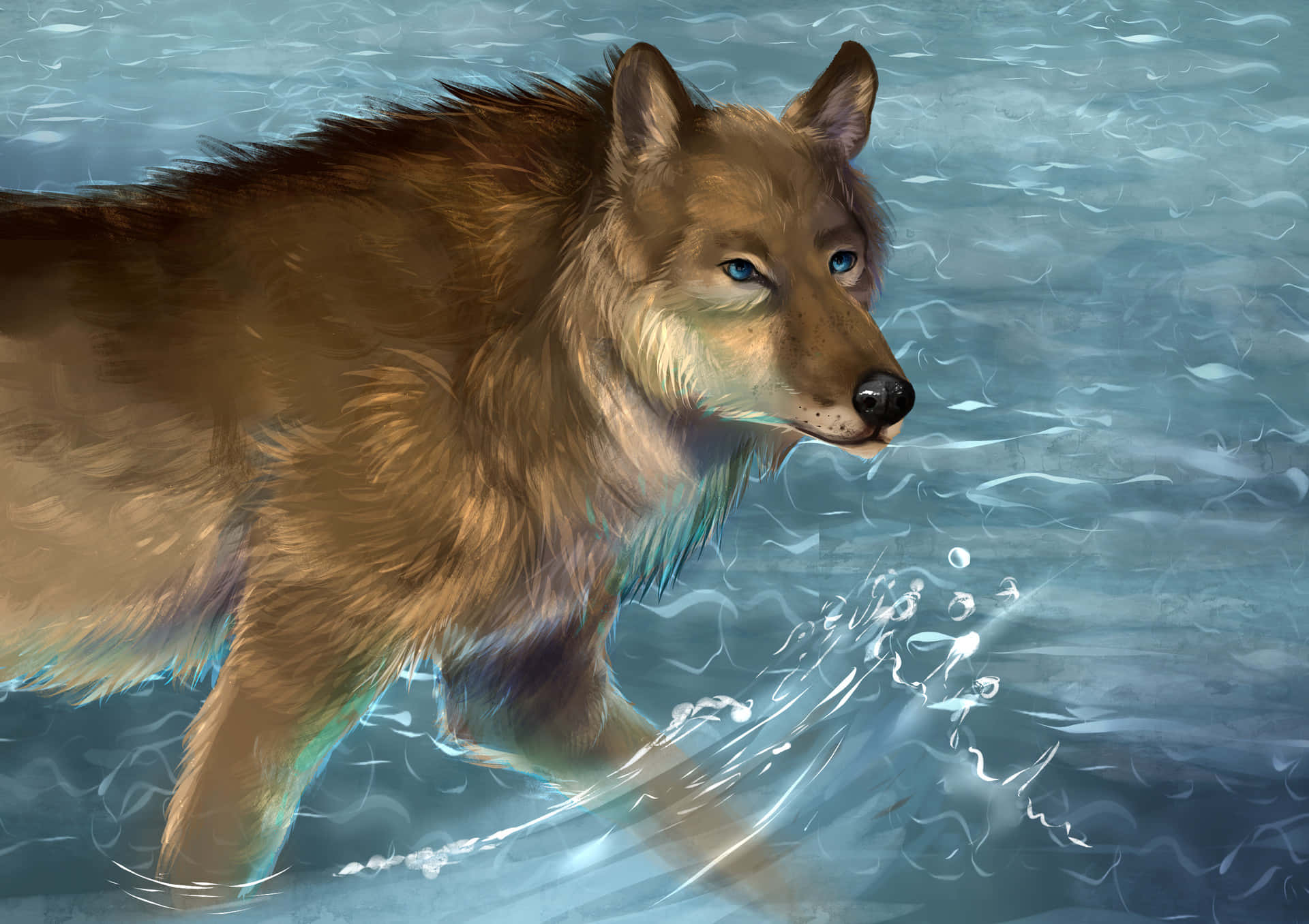 wolf in water, brown wolf, piercing blue eyes, Full HD Desktop Wallpaper