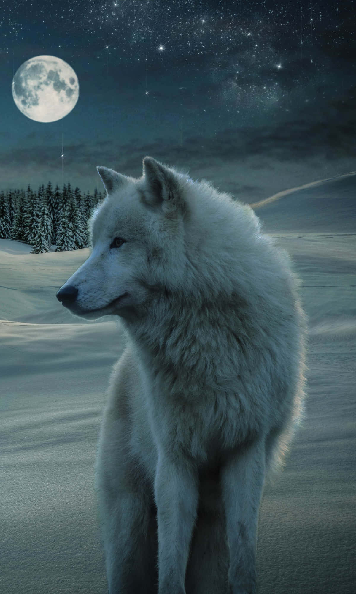 Wolf In Winter, white wolf, snowy winter landscape, Full HD Phone Wallpaper