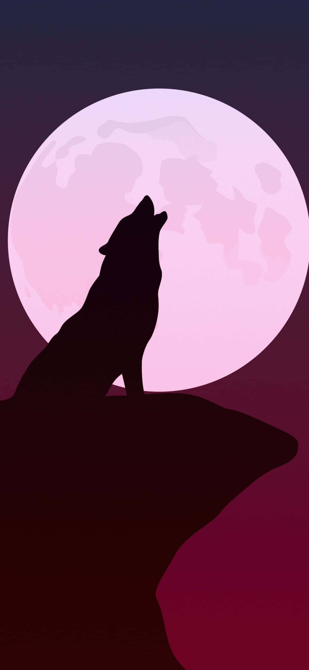 wolf minimalist, pink moon, gradient purple sky, 2K Phone Wallpaper