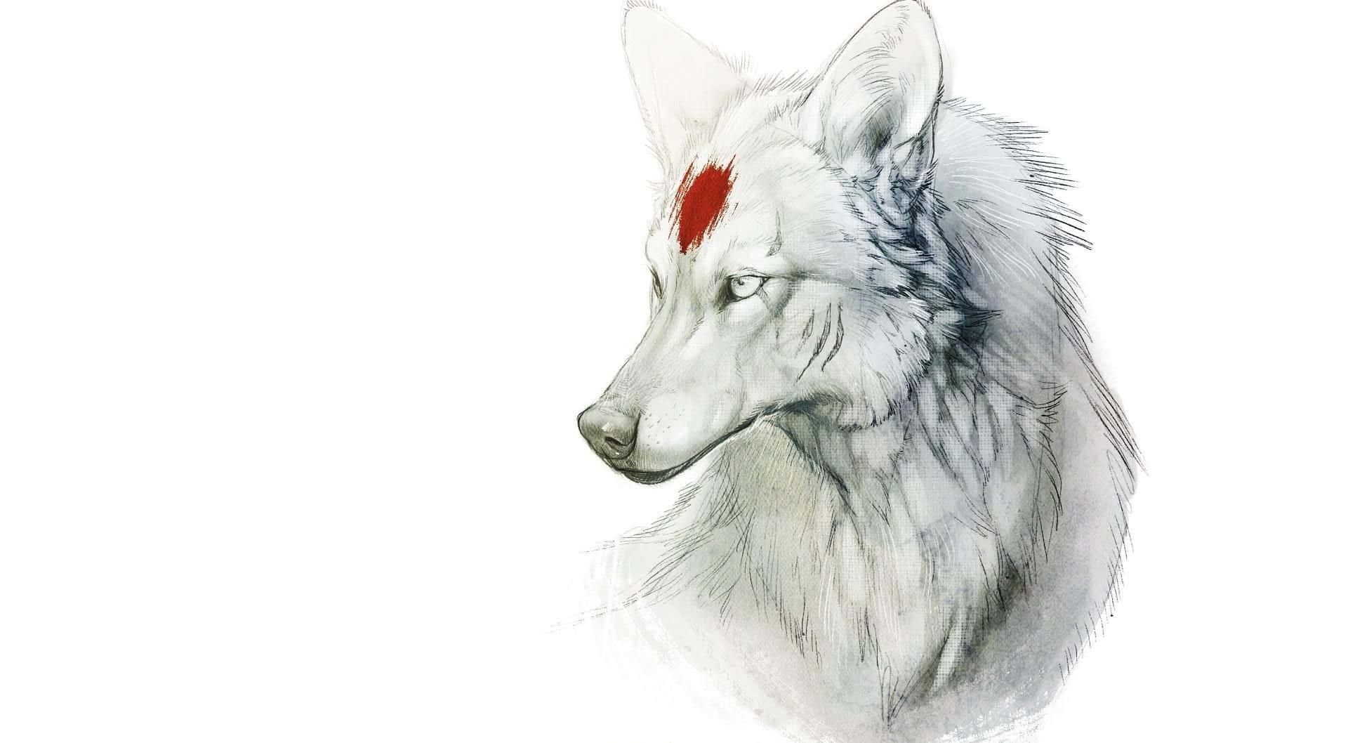 white wolf, red mark on its forehead, soft watercolor illustration, Full HD Desktop Wallpaper