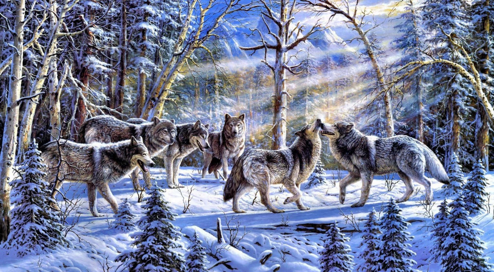 Wolf Pack, snowy forest, snow-covered trees, Full HD Desktop Wallpaper