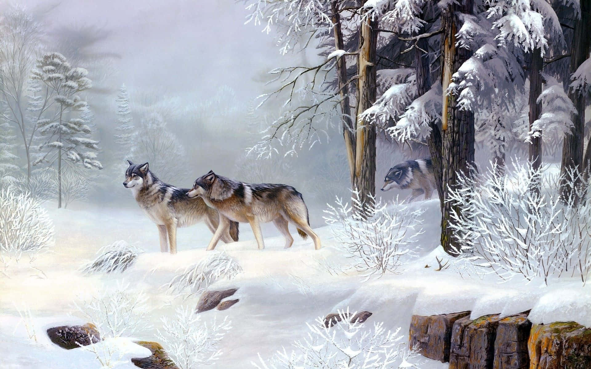 wolves, snowy forest, snow-laden trees, Full HD Desktop Wallpaper