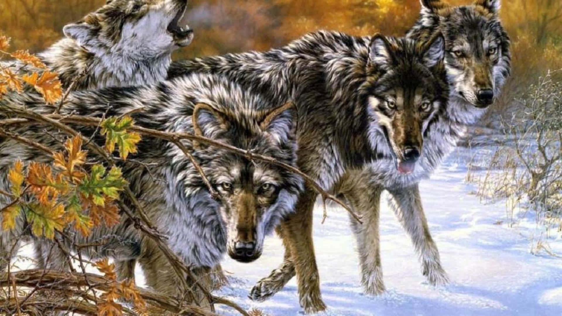wolf pack, gray fur, snowy forest, Full HD Desktop Wallpaper