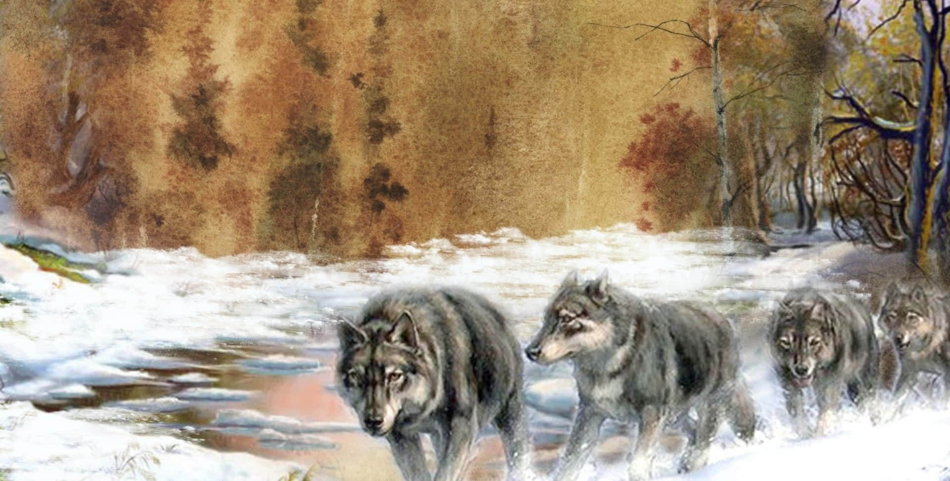 wolf pack, snowy terrain, frozen stream, Full HD Desktop Wallpaper