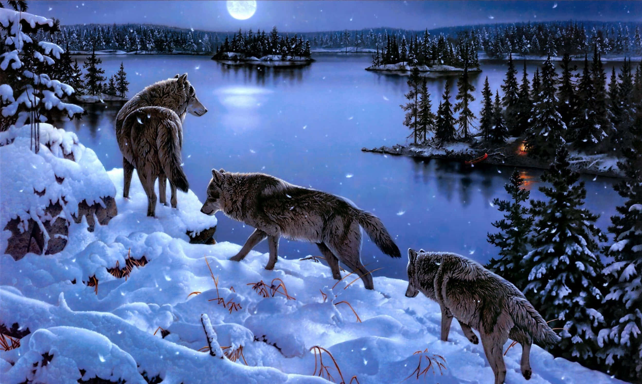 Wolf Pack, moors, moonlit lake, Full HD Desktop Wallpaper
