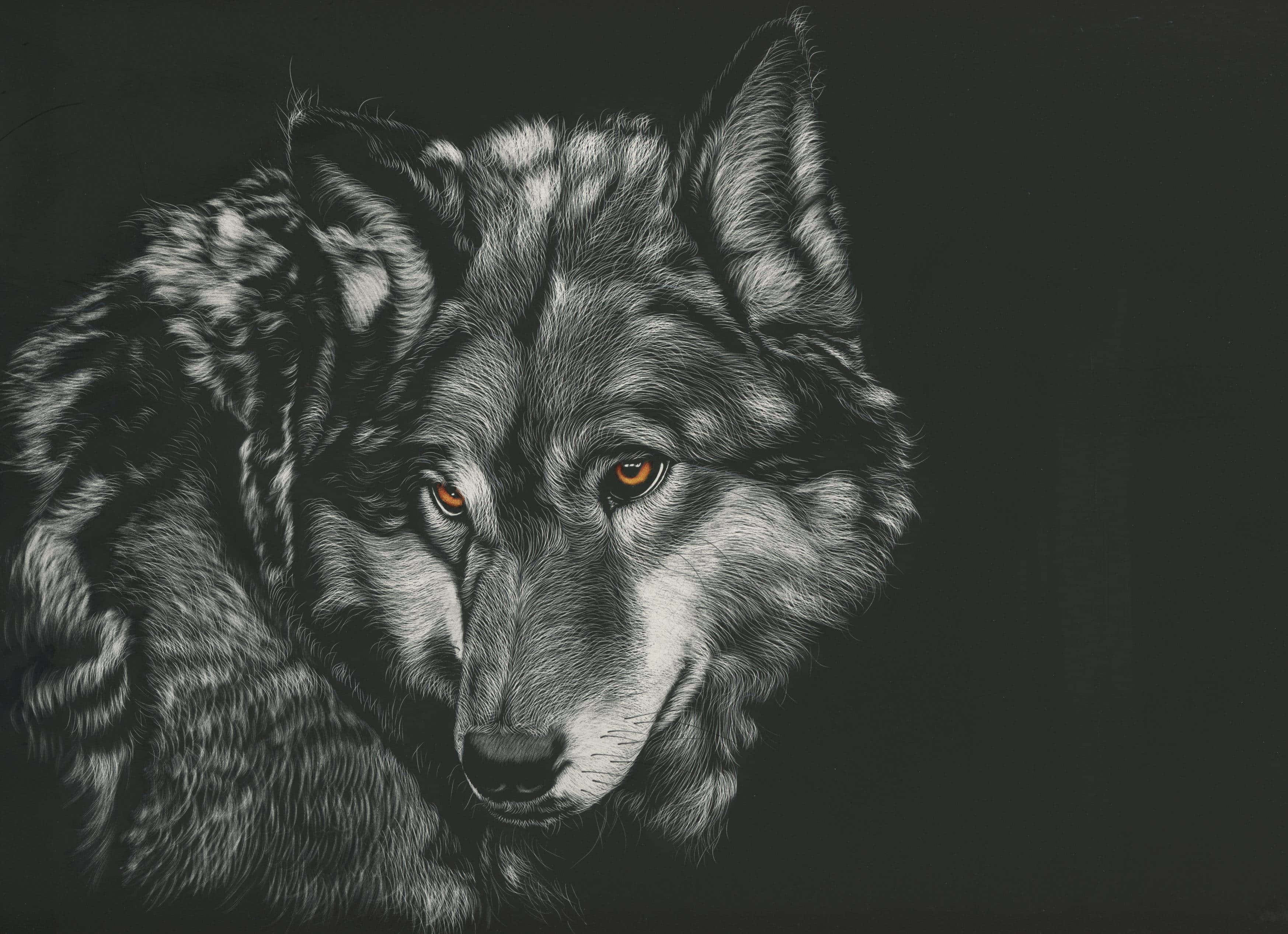 Wolf Aesthetic, amber eyes, dark background, 2K Desktop Wallpaper