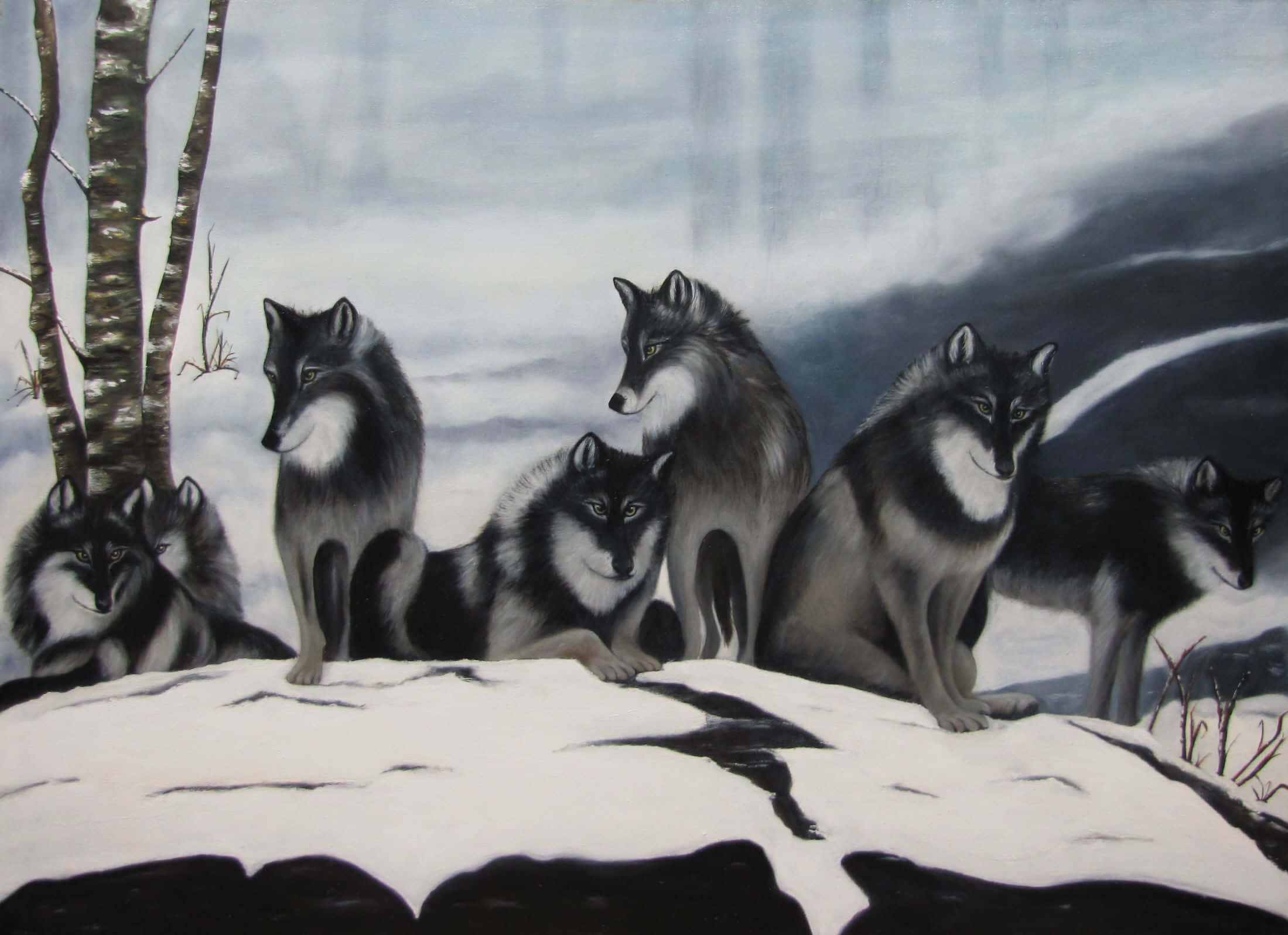 wolf pack, snowy cliff edge, bare birch trees, Full HD Desktop Wallpaper