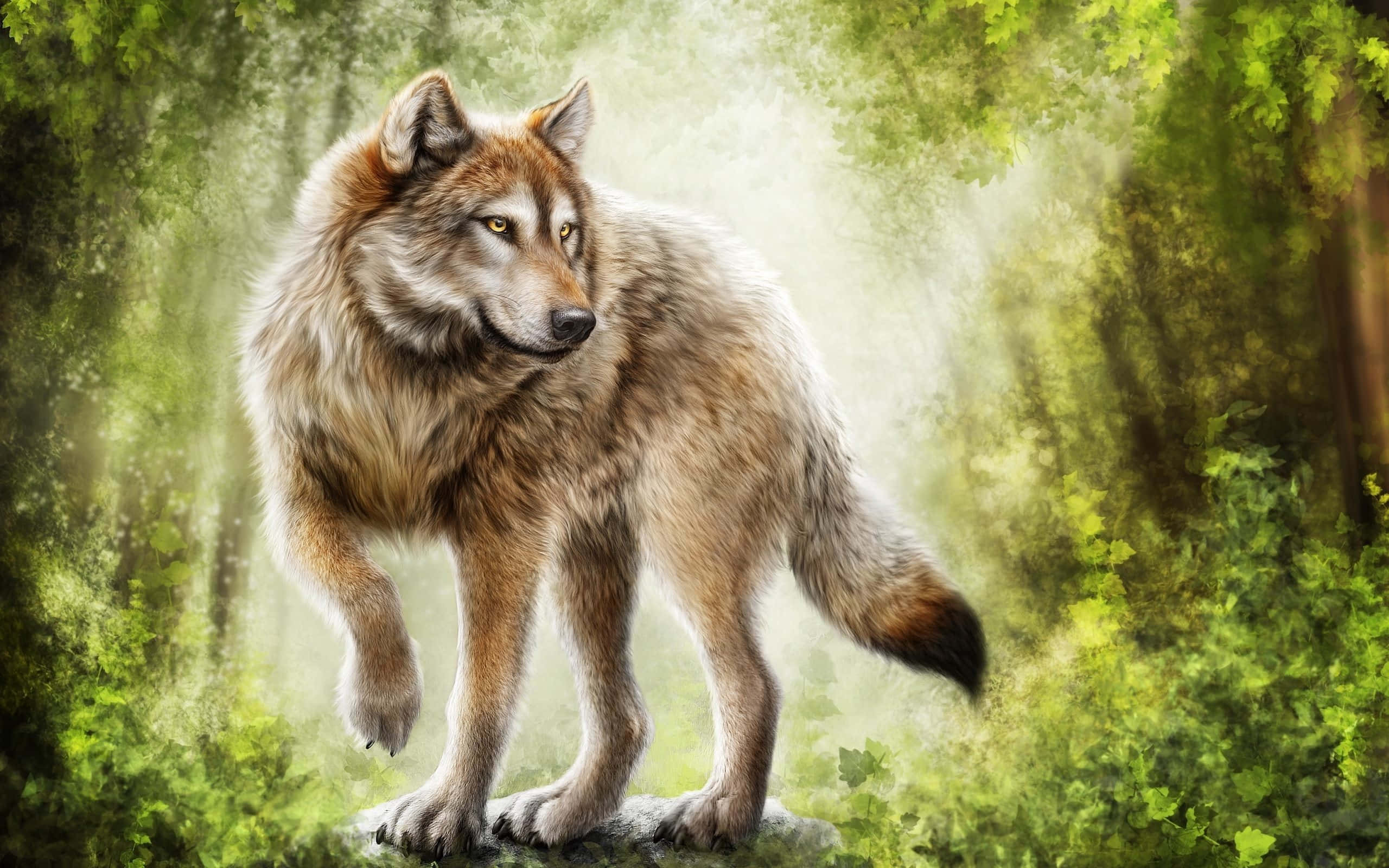 wolf, sunlit forest, thick brown fur, 2K Desktop Wallpaper