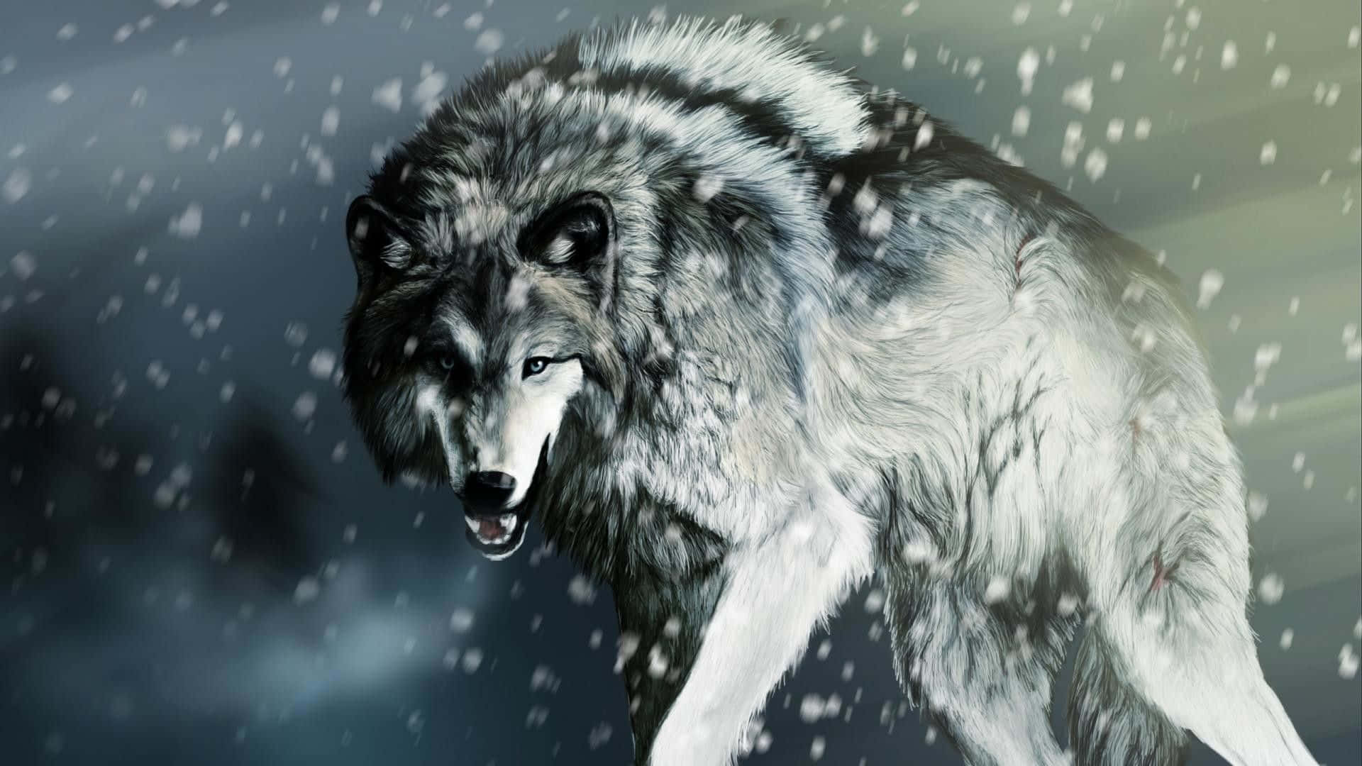 wolf photography, gray wolf, falling snow, Full HD Desktop Wallpaper