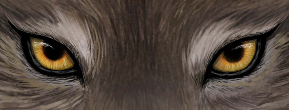 wolf eyes, amber eyes, grey fur, SD Desktop Wallpaper
