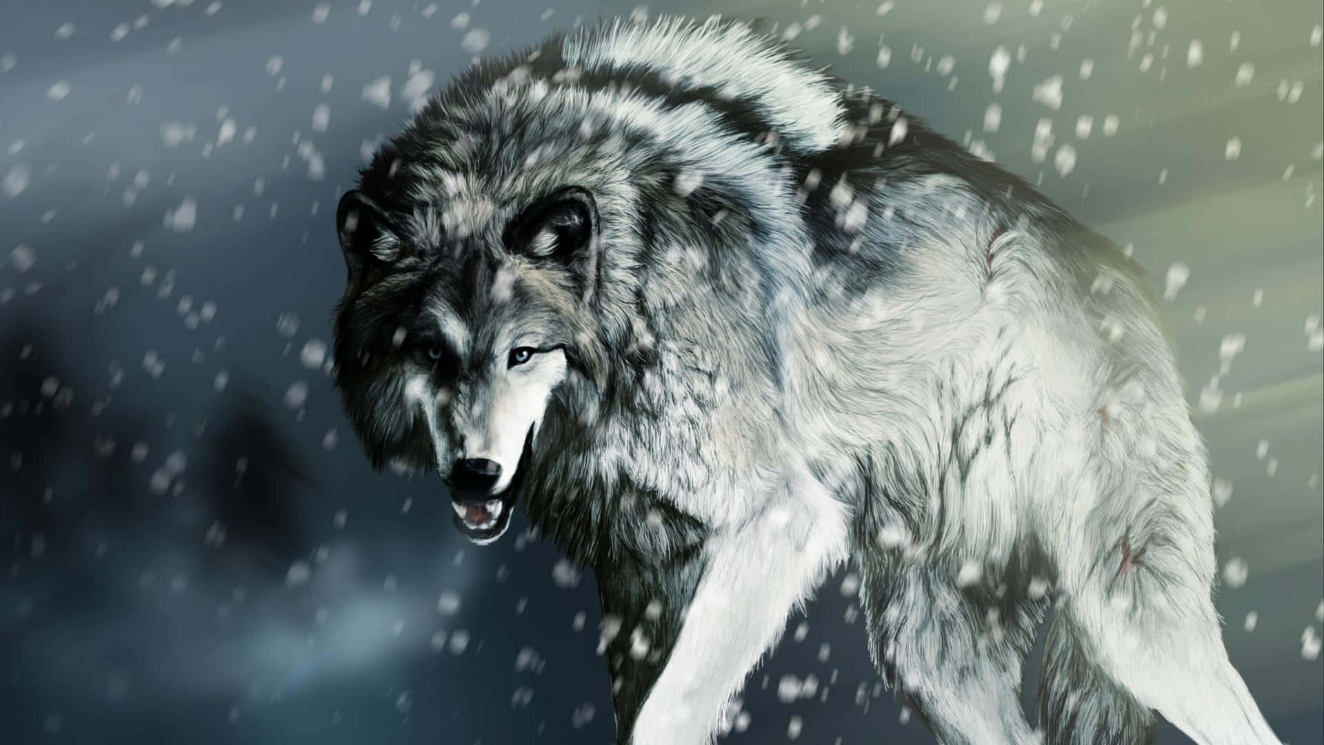 gray wolf, blizzard, snowflakes, Full HD Desktop Wallpaper