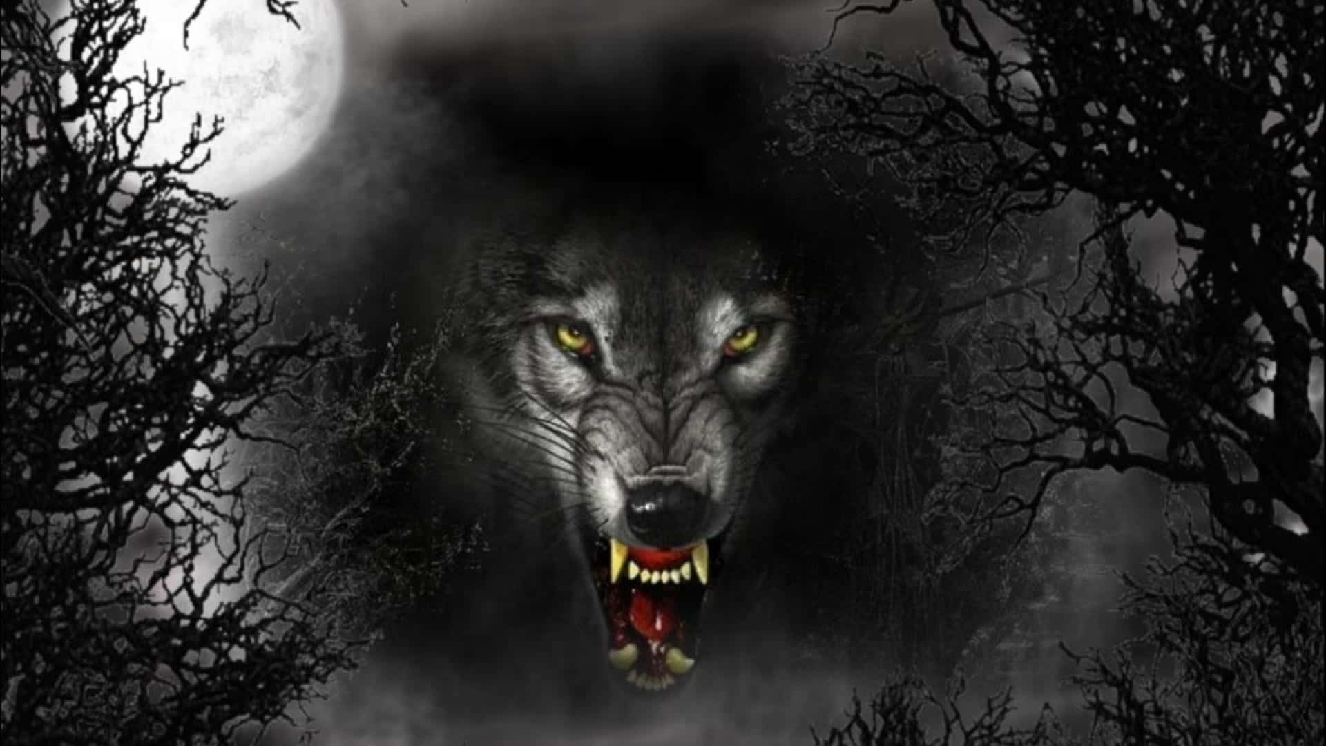 angry wolf, glowing yellow eyes, full moon, Full HD Desktop Wallpaper