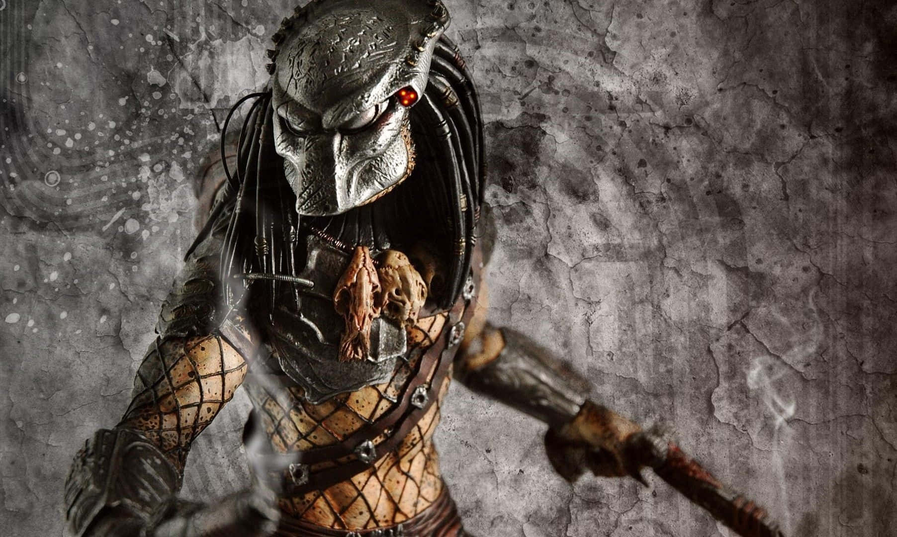 Wolf Predator, Predator warrior, glowing red eyes, HD Desktop Wallpaper