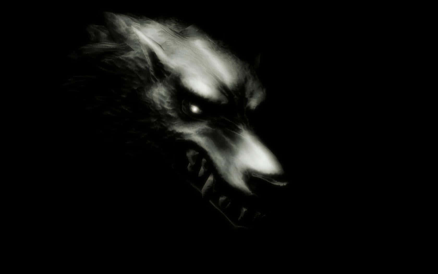 angry wolf, wolf's head, eerie light, HD Desktop Wallpaper
