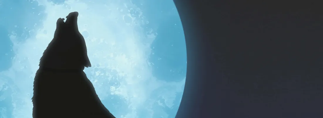 Wolf's Rain Tsume