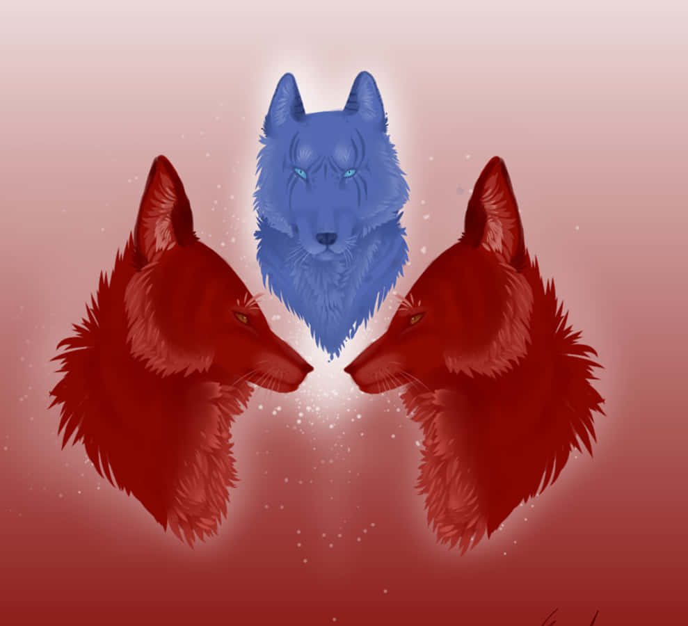 red and blue wolf, sassy, glowing blue wolf head, SD Desktop Wallpaper