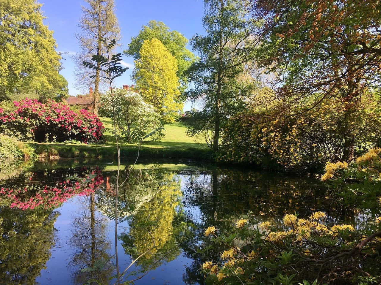 Wolverhampton, springtime, garden pond, HD Desktop Wallpaper