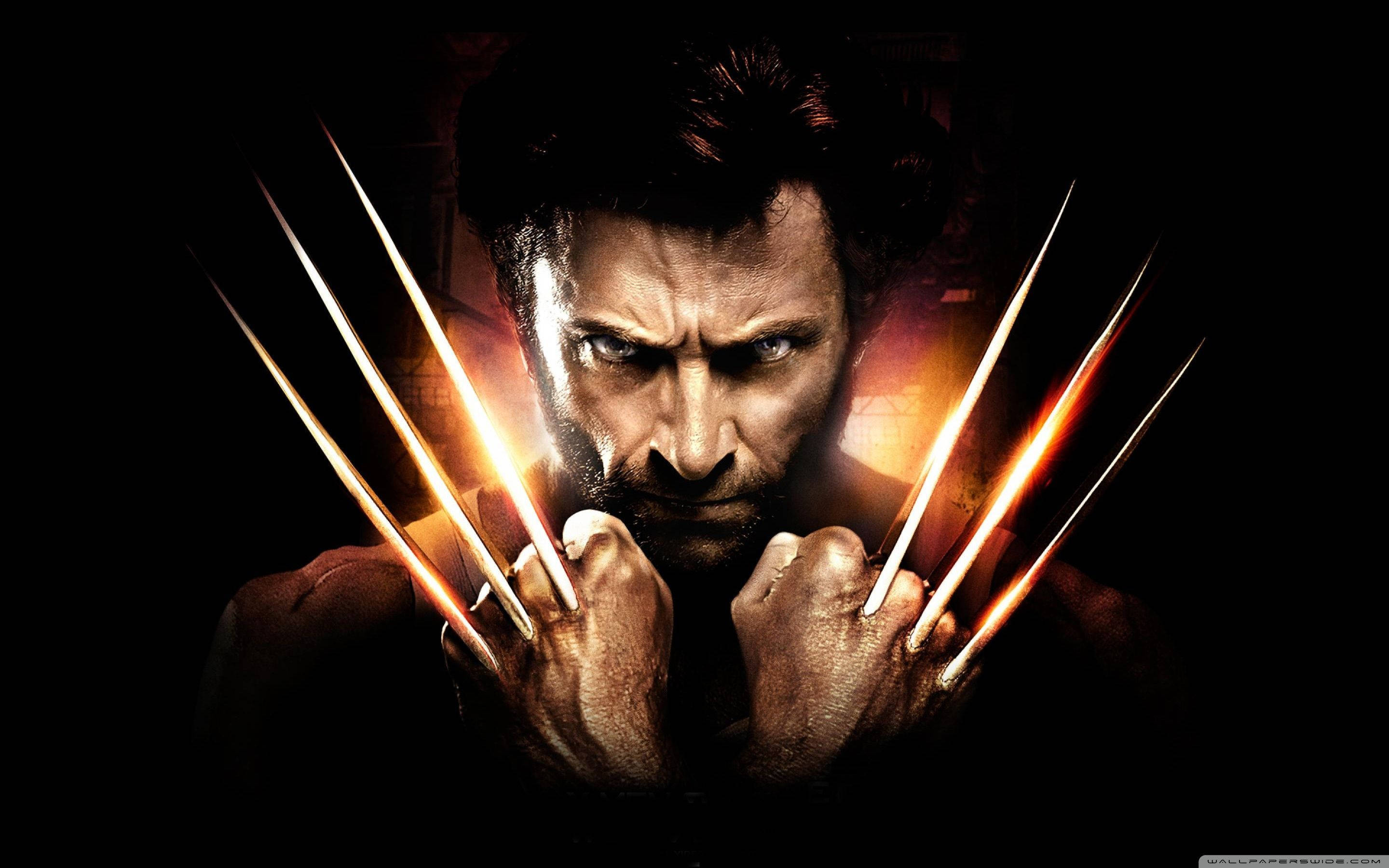 Wolverine, adamantium claws, glowing, 2K Desktop Wallpaper