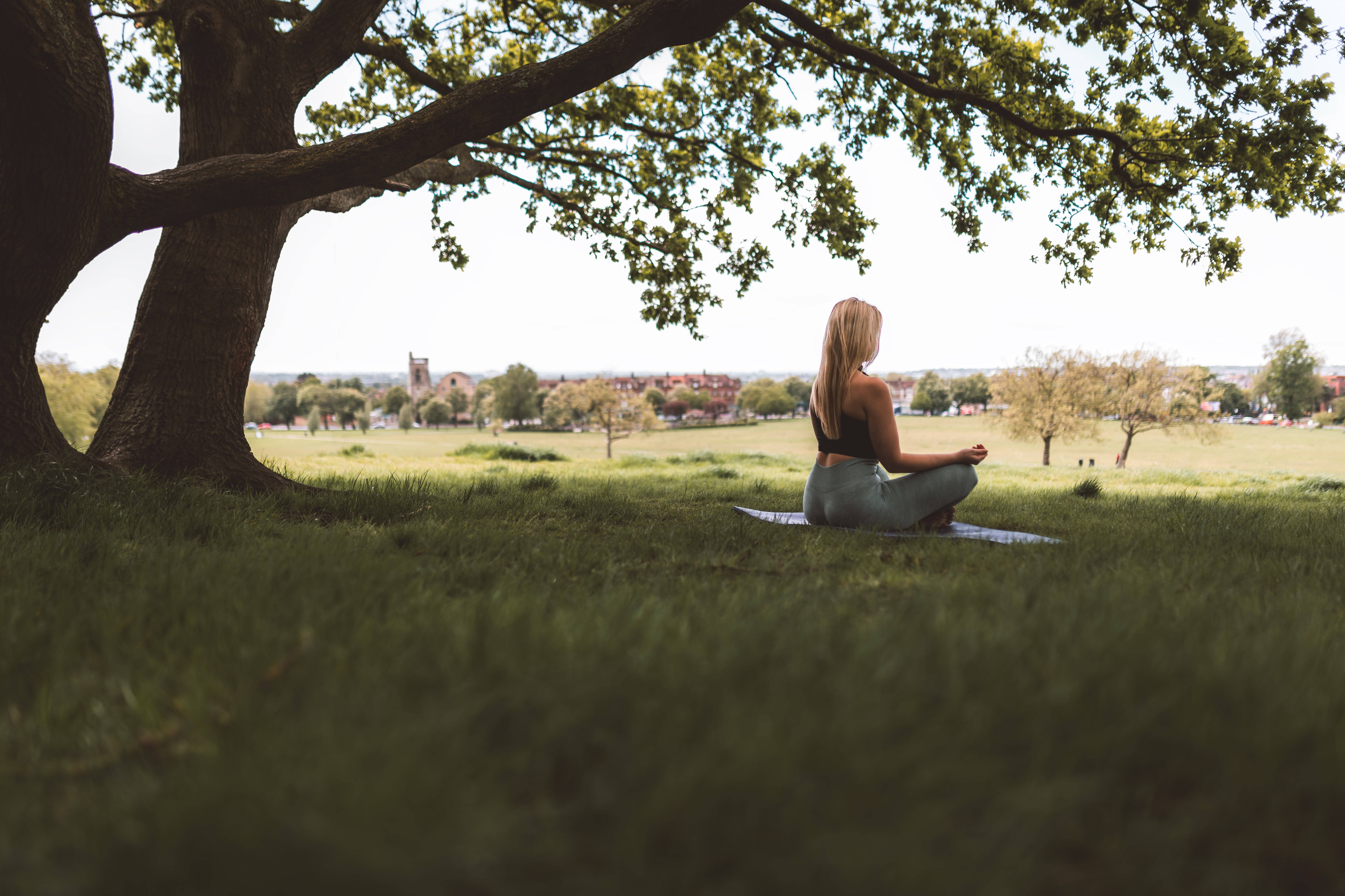urban park, woman, large tree, 5K Desktop Wallpaper