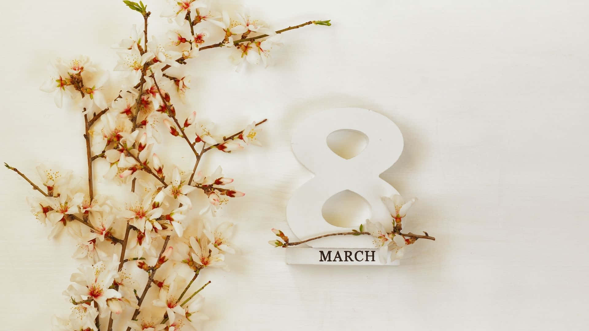 International Women's Day 2023, white cherry blossoms, minimalist white background, Full HD Desktop Wallpaper
