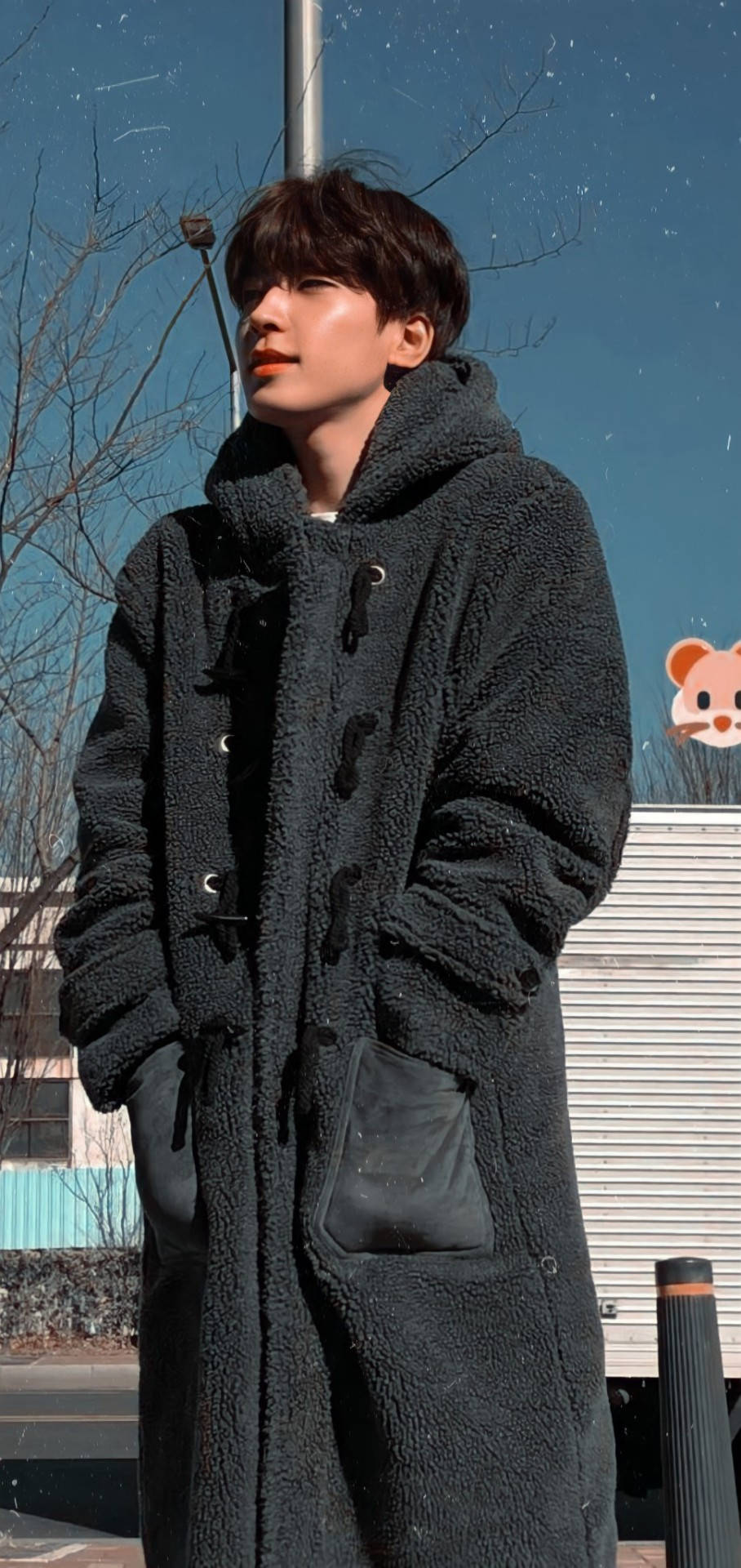 Wonwoo, winter, dark fuzzy coat, Full HD Phone Wallpaper