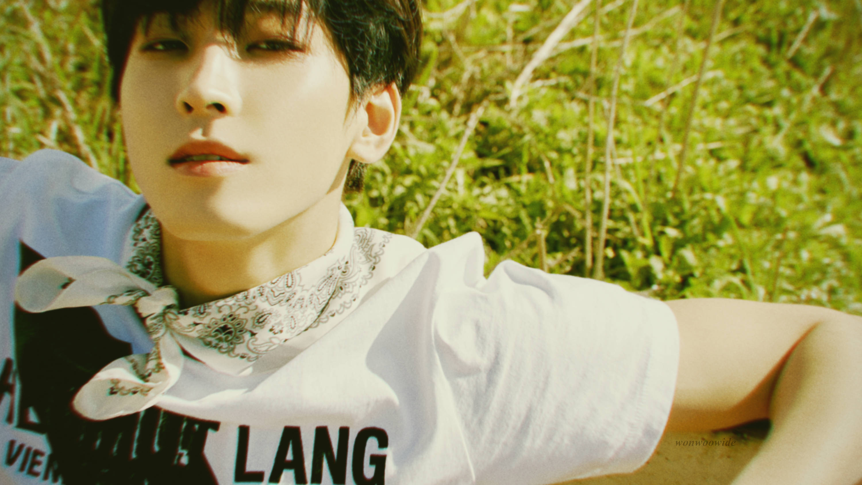 Wonwoo, magazine photoshoot, sunlit grass, 2K Desktop Wallpaper
