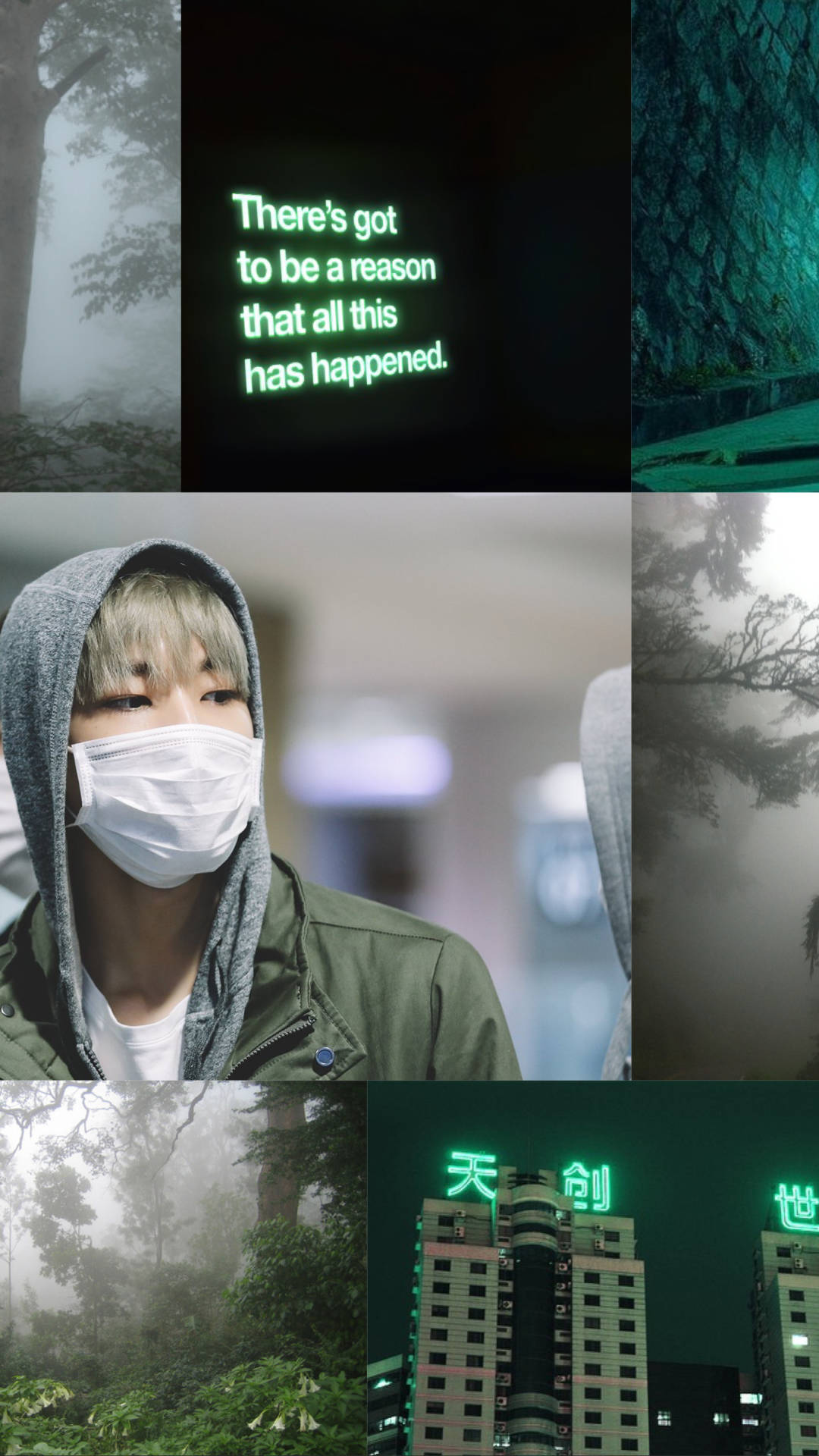 Wonwoo, green aesthetic, misty forests, Full HD Phone Wallpaper