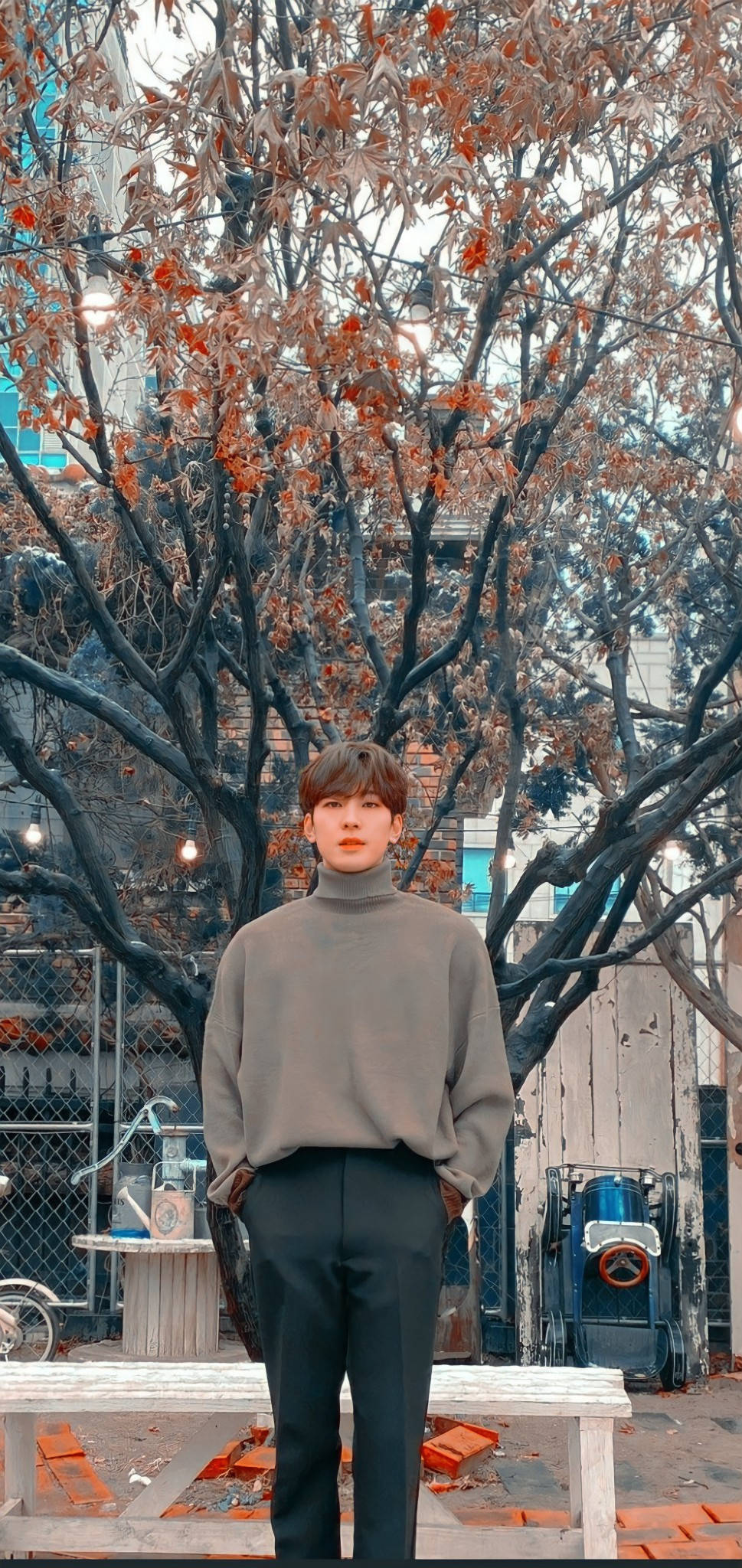 Wonwoo, grey turtleneck, autumn leaves, Full HD Phone Wallpaper