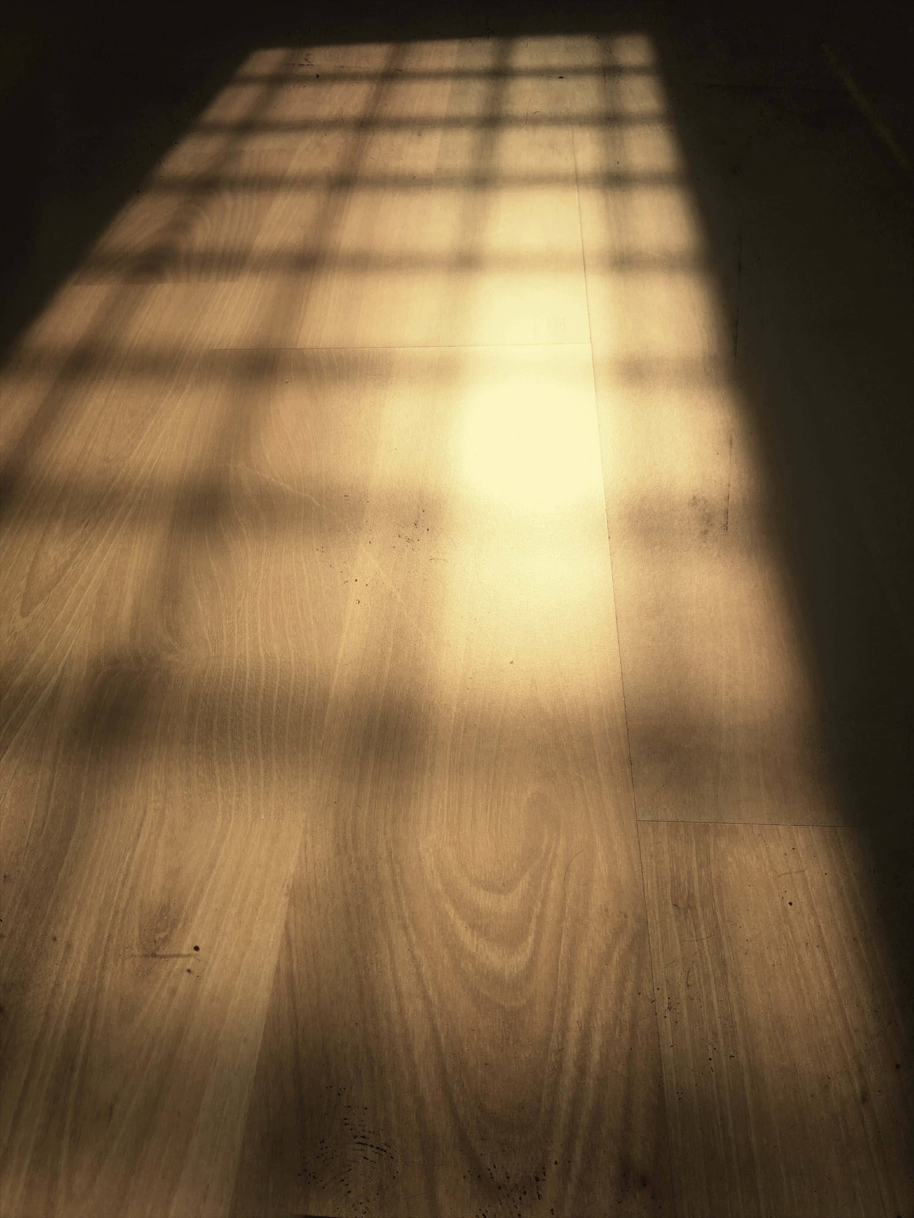 golden sunlight, window grid, warm wooden floor, 4K Phone Wallpaper