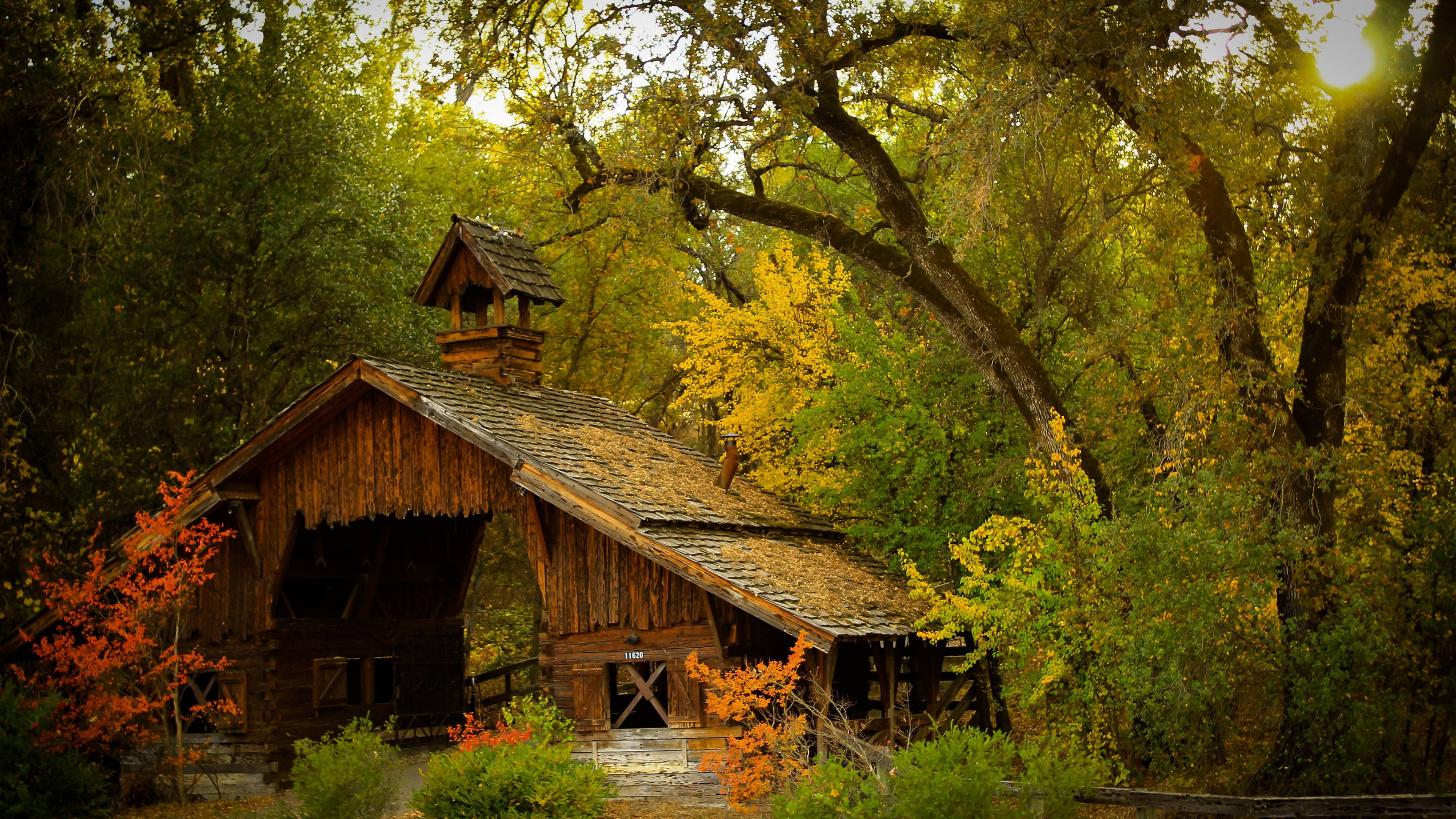 open wooden house, rustic wooden cabin, autumn forest, 4K Desktop Wallpaper