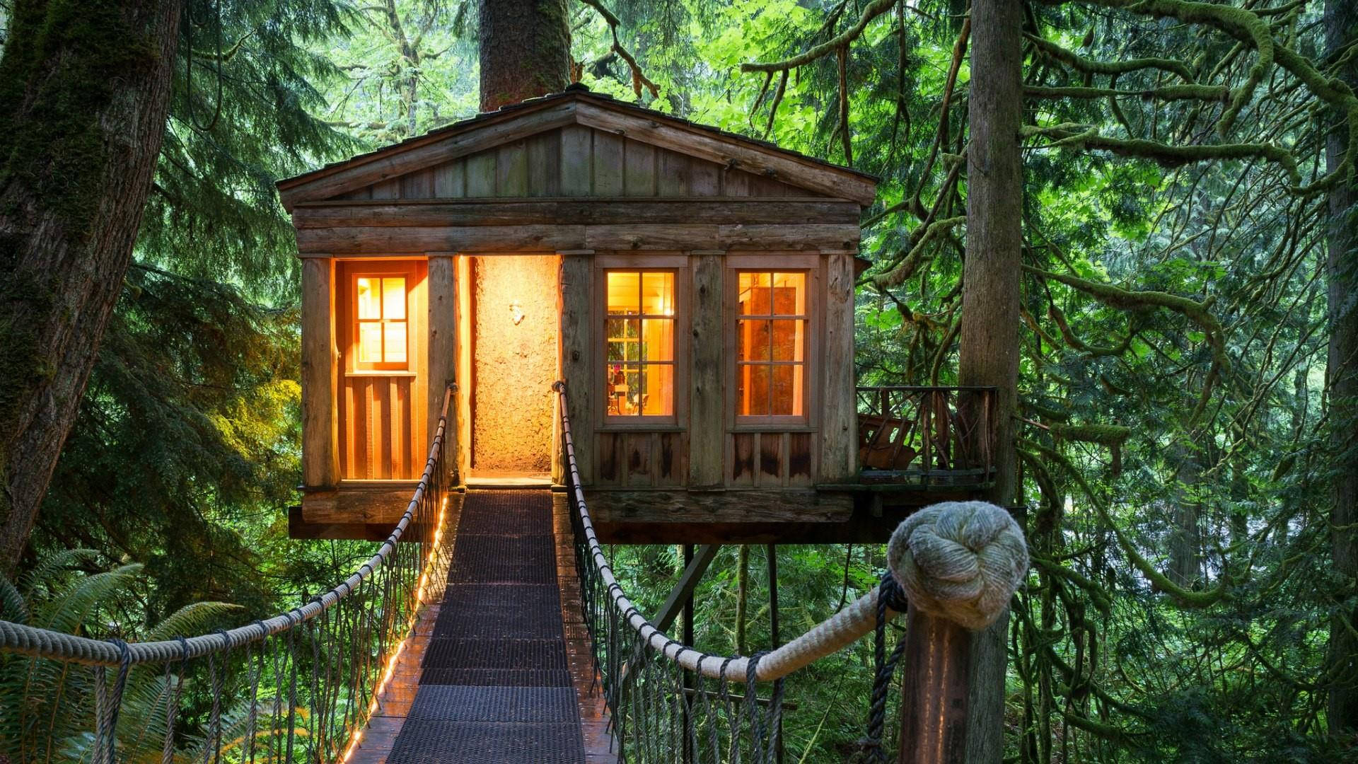 Wood Tree House, rope bridge, dense green forest, Full HD Desktop Wallpaper