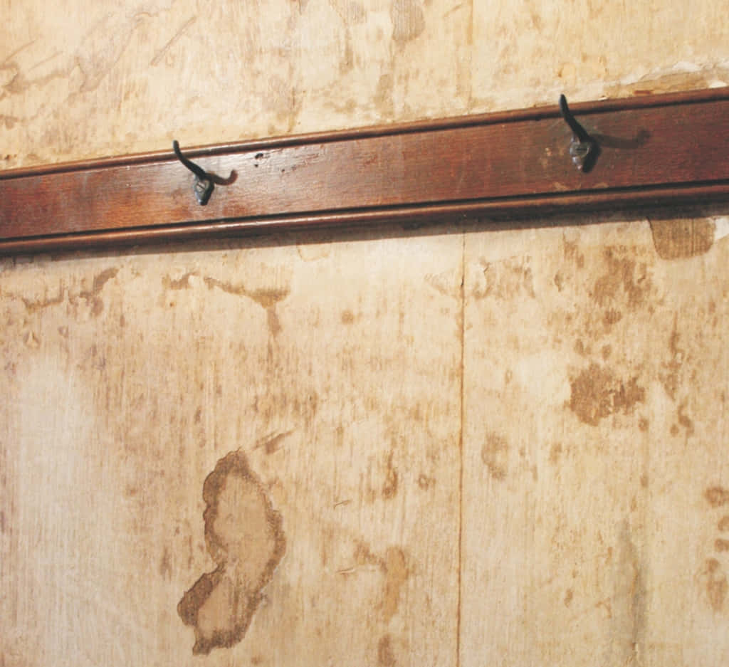 weathered wooden wall, black hooks, dark wood rail, SD Desktop Wallpaper