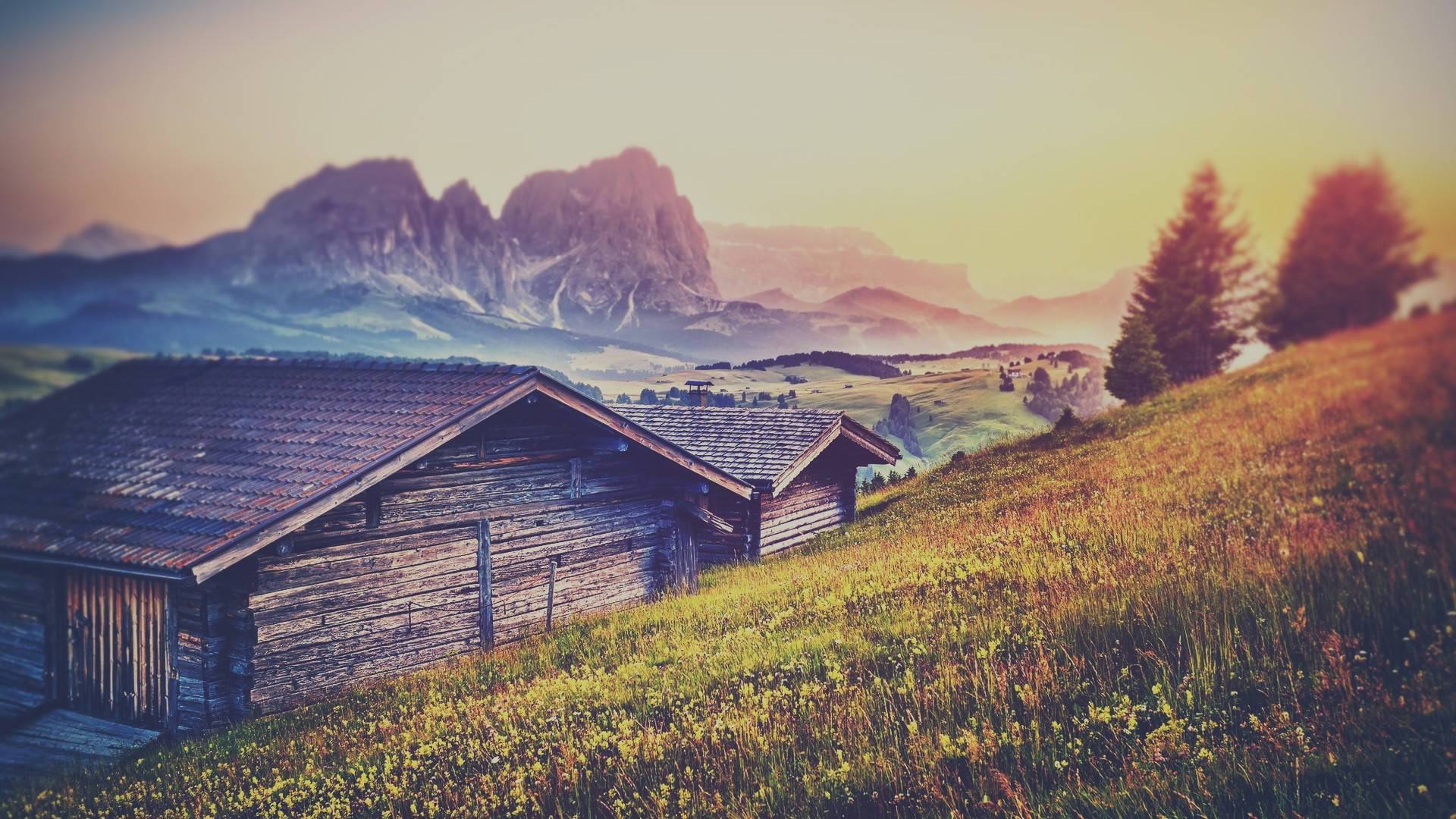 rustic wooden cabin, sunlit hillside, wildflowers, Full HD Desktop Wallpaper