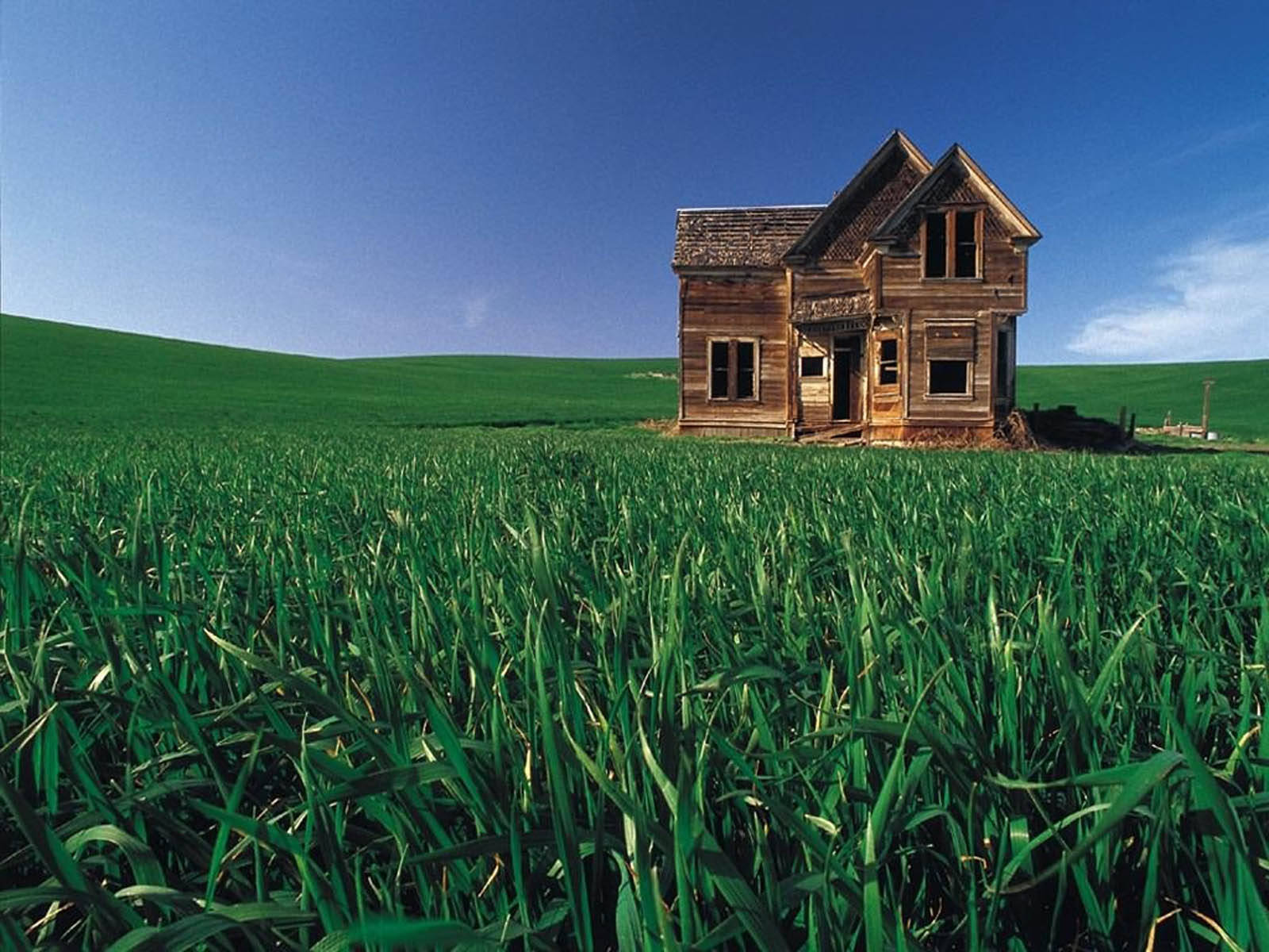 wooden house, green field, clear blue sky, HD Desktop Wallpaper