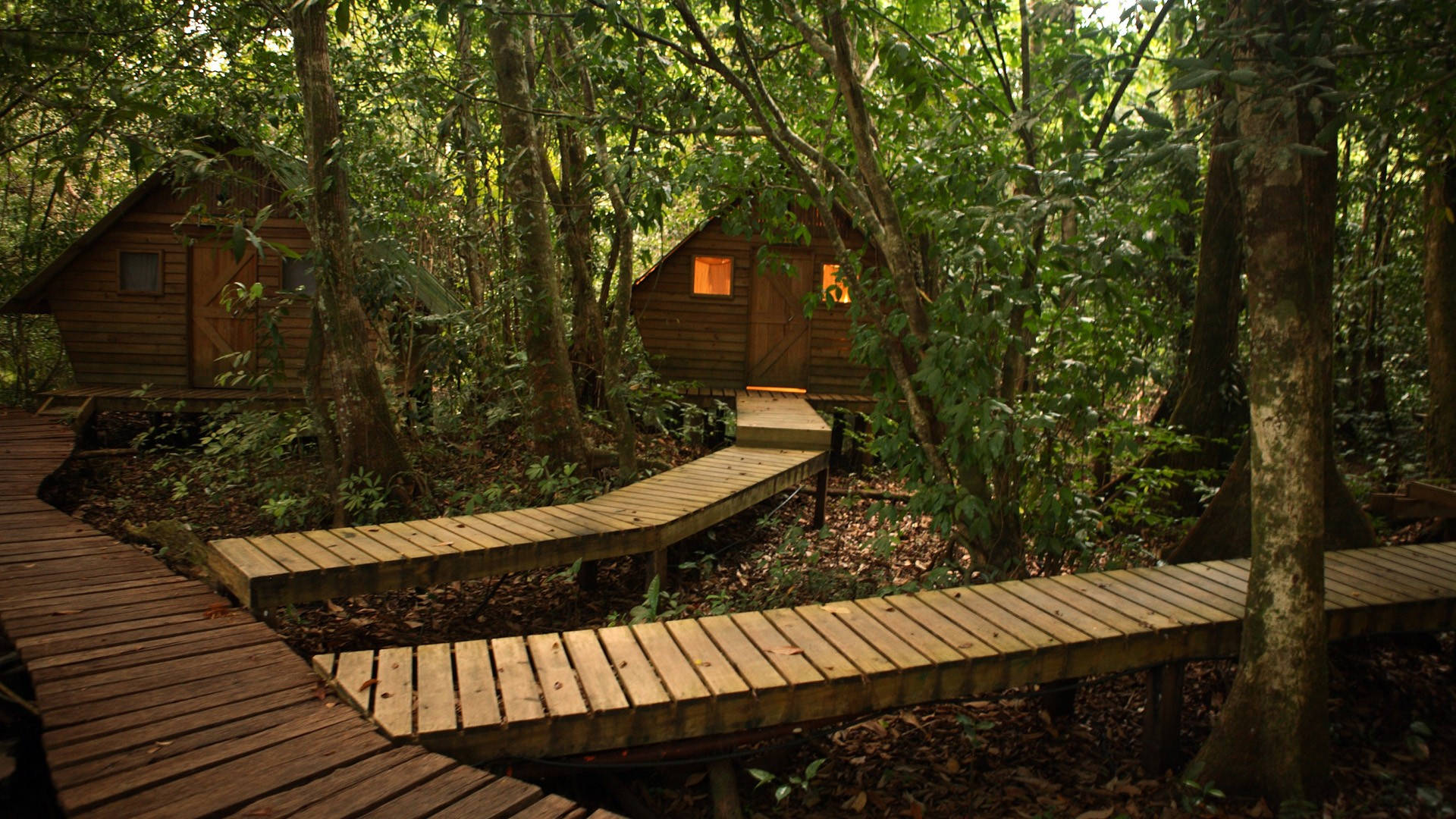 wooden boardwalk, dense forest, cozy cabins, Full HD Desktop Wallpaper