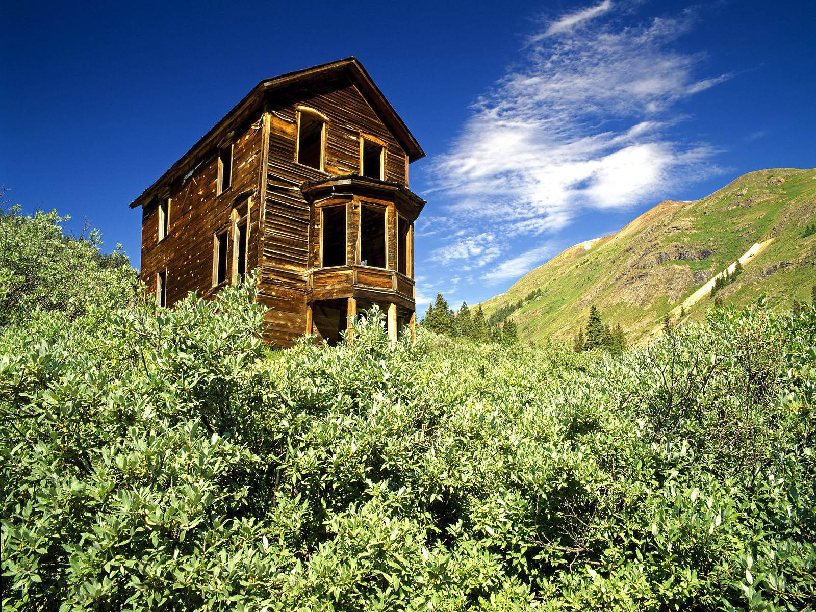 tall wooden house, abandoned wooden house, green shrubs, HD Desktop Wallpaper