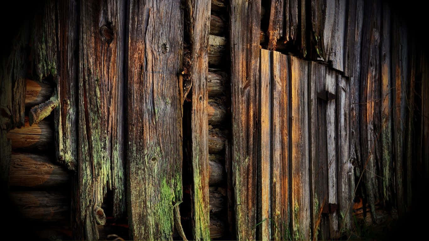 barn wood, weathered wooden planks, moss, HD Desktop Wallpaper