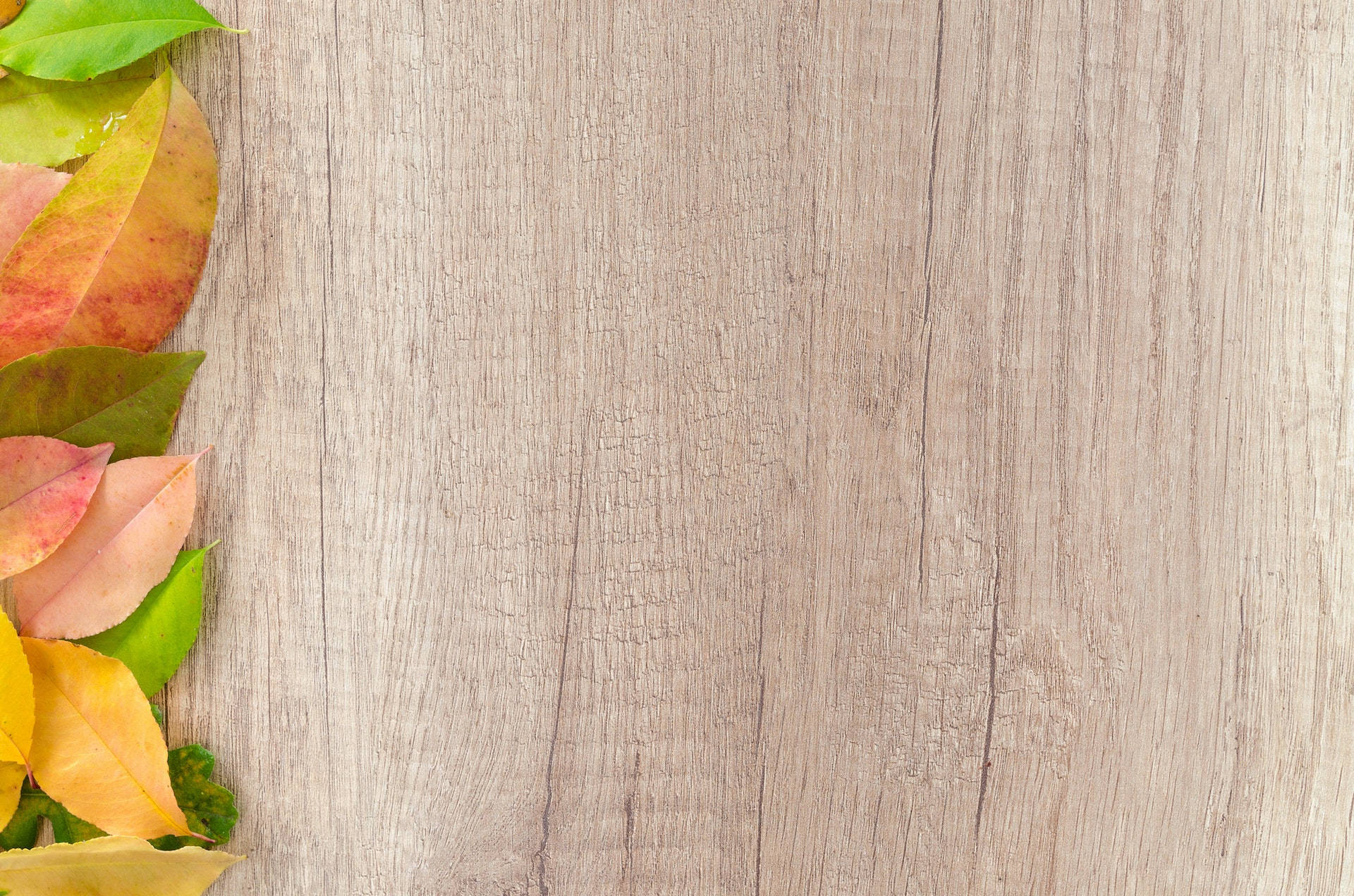 Wood And Leaves Banner, autumn leaves, warm hues, Full HD Desktop Wallpaper