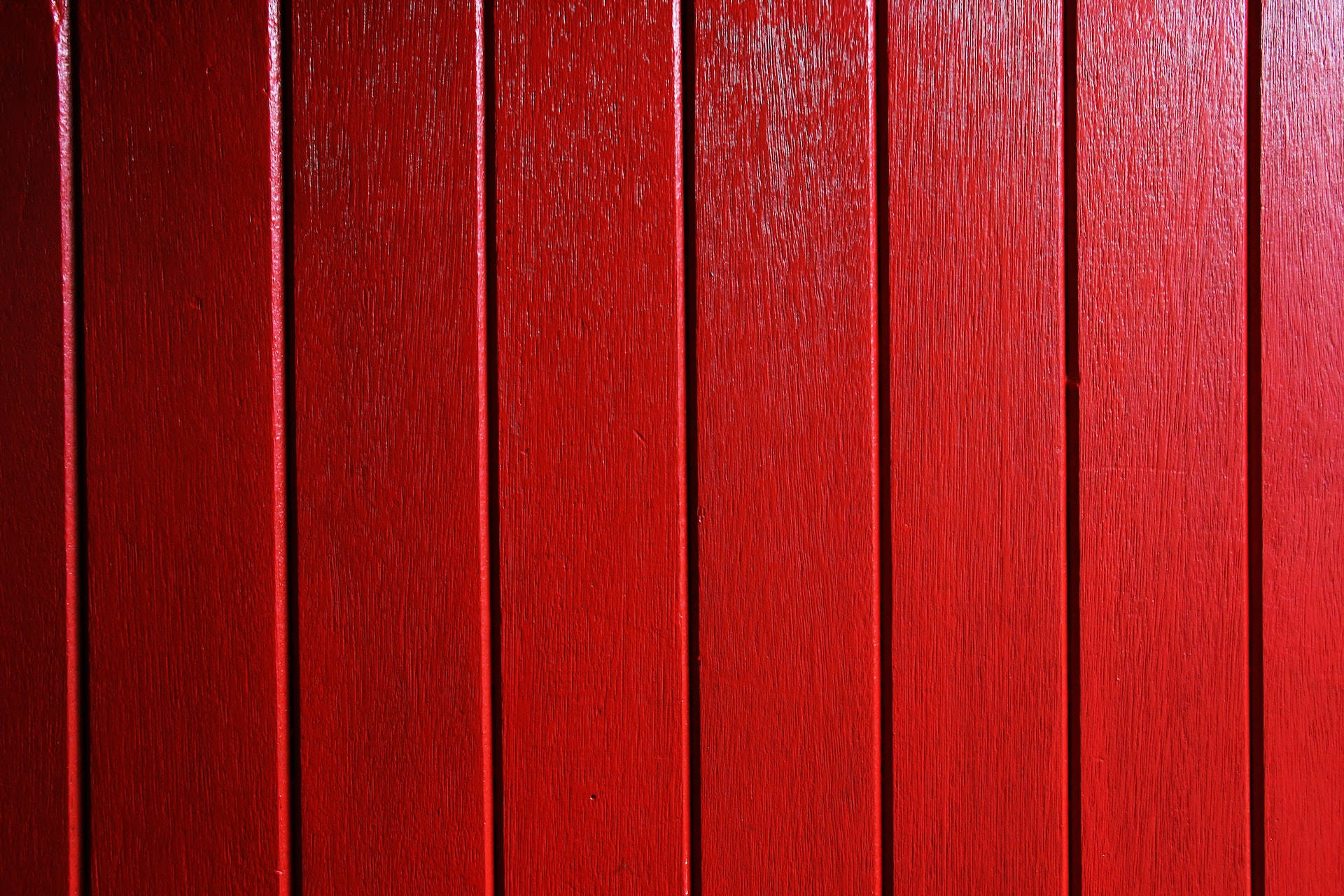 red wood banner, Majestic Redwood Forest Banner, vibrant red, Full HD Desktop Wallpaper
