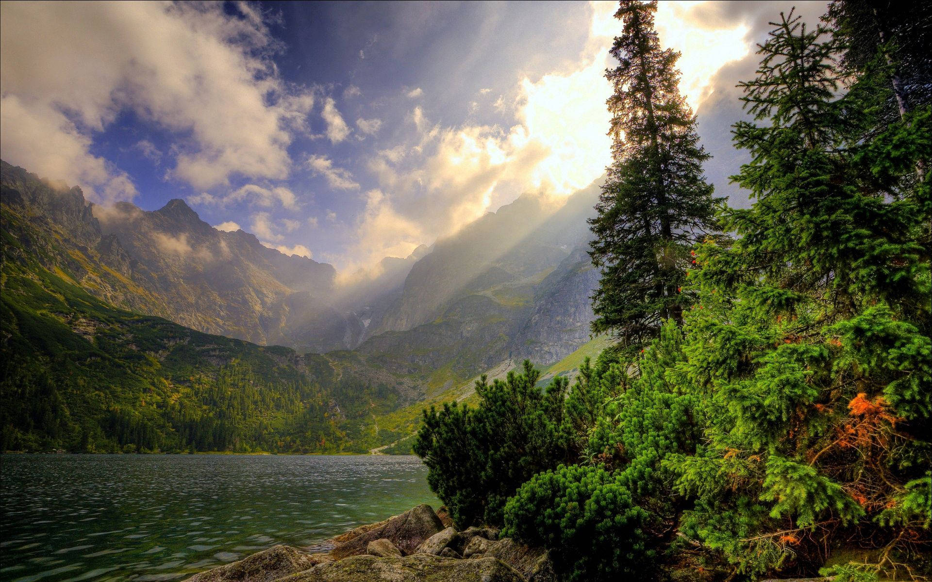 wood mountains, serene mountain lake, dense evergreen forests, Full HD Desktop Wallpaper
