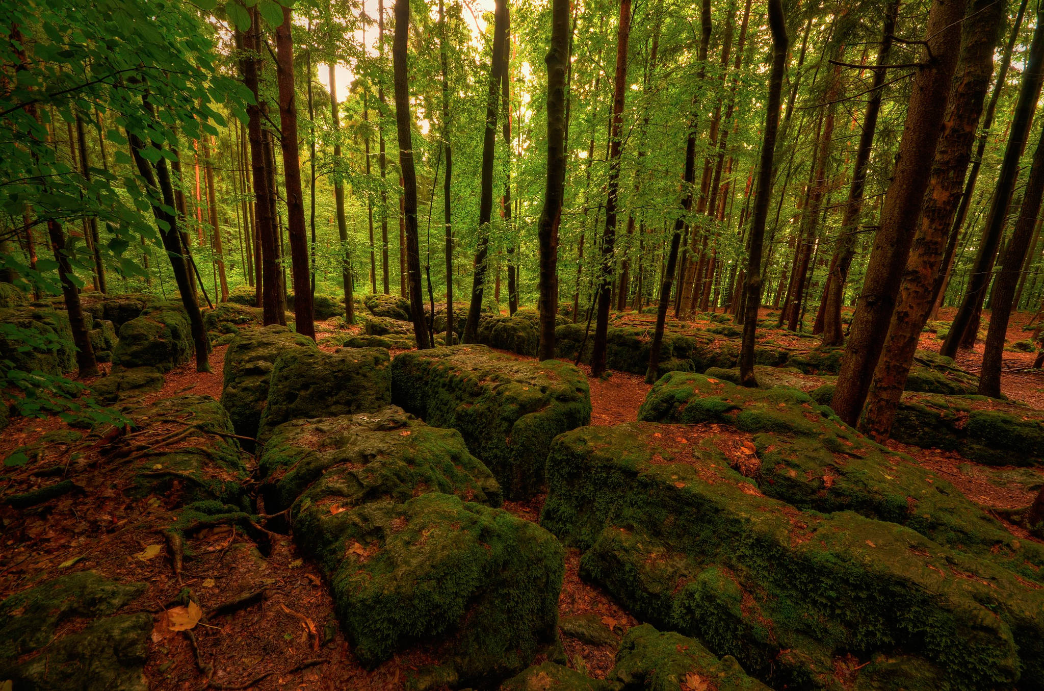 wood, stones, sunlight, Full HD Desktop Wallpaper